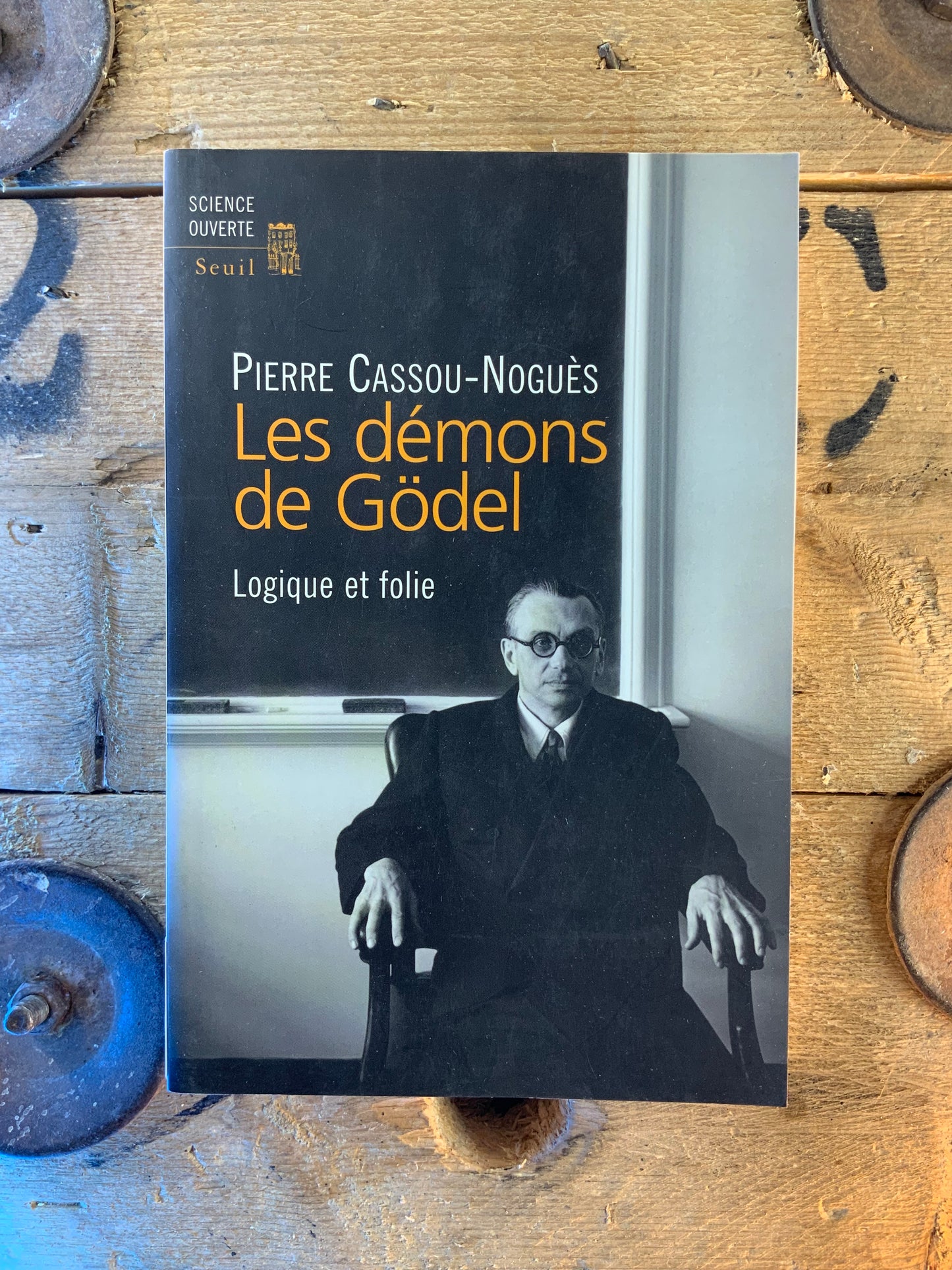 Les démons de Gödel : logique et folie - Pierre Cassou-Noguès