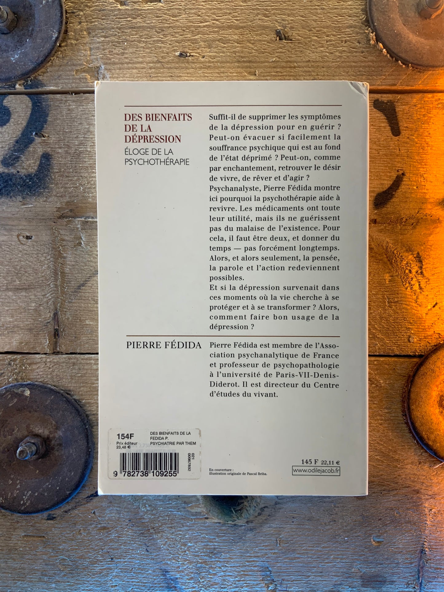 Des bienfaits de la dépression : éloge de la psychothérapie - Pierre Fédida