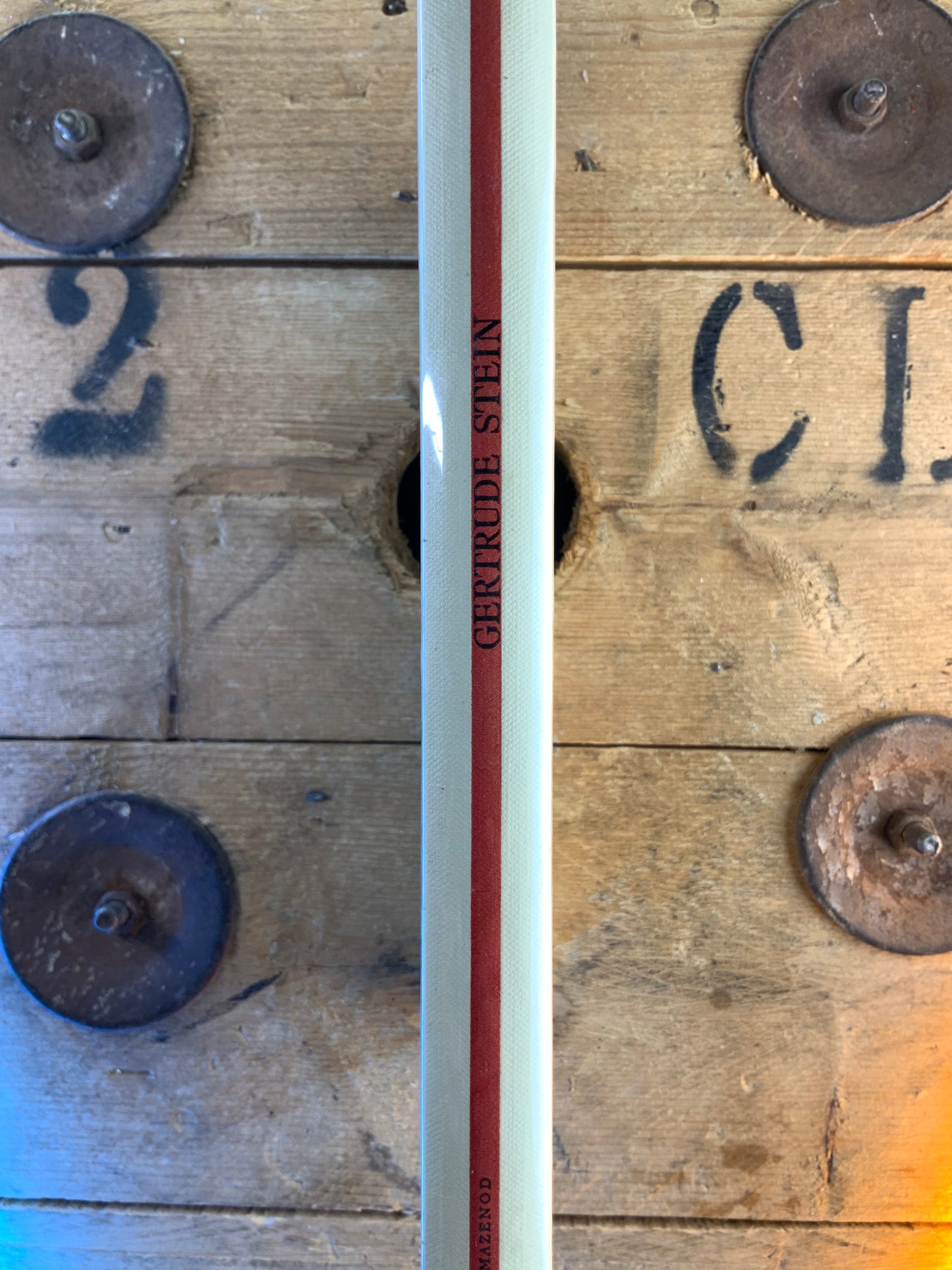 Les écrivains célèbres : Gertrude Stein