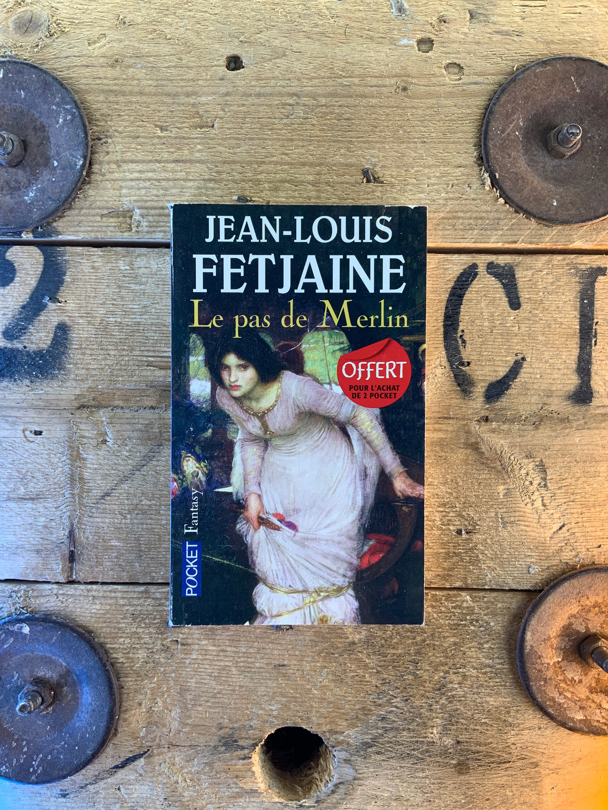 Le pas de Merlin - Jean-Louis Fetjaine