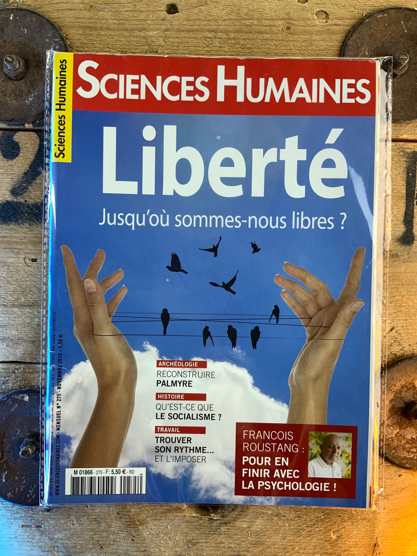 Liberté : jusqu’où sommes-nous libres ? [ Sciences Humaines ]