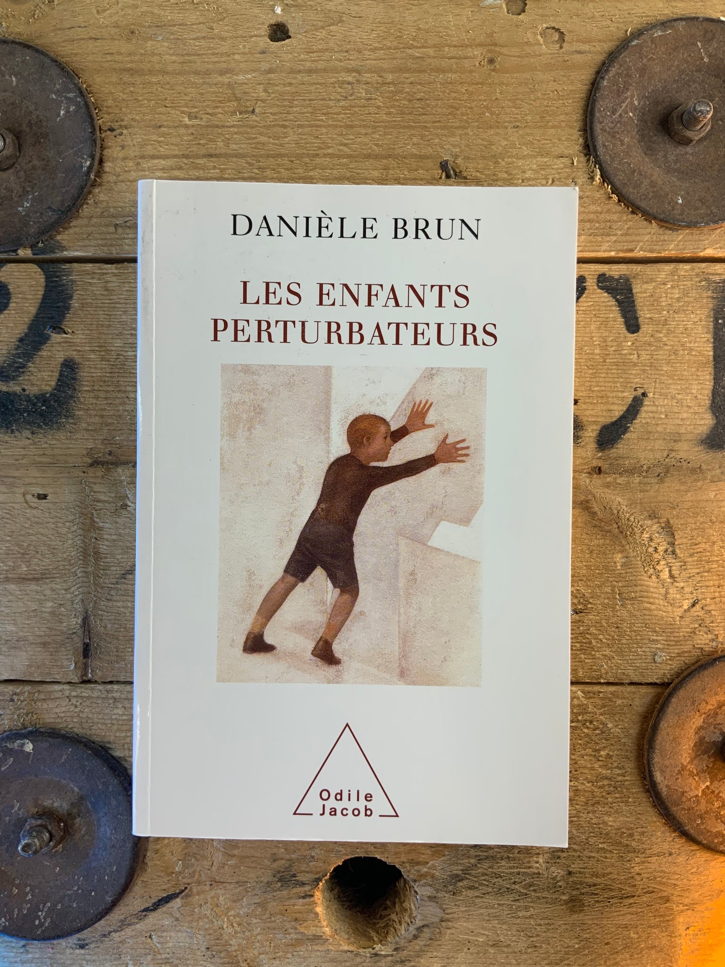 Les enfants perturbateurs - Danièle Brun