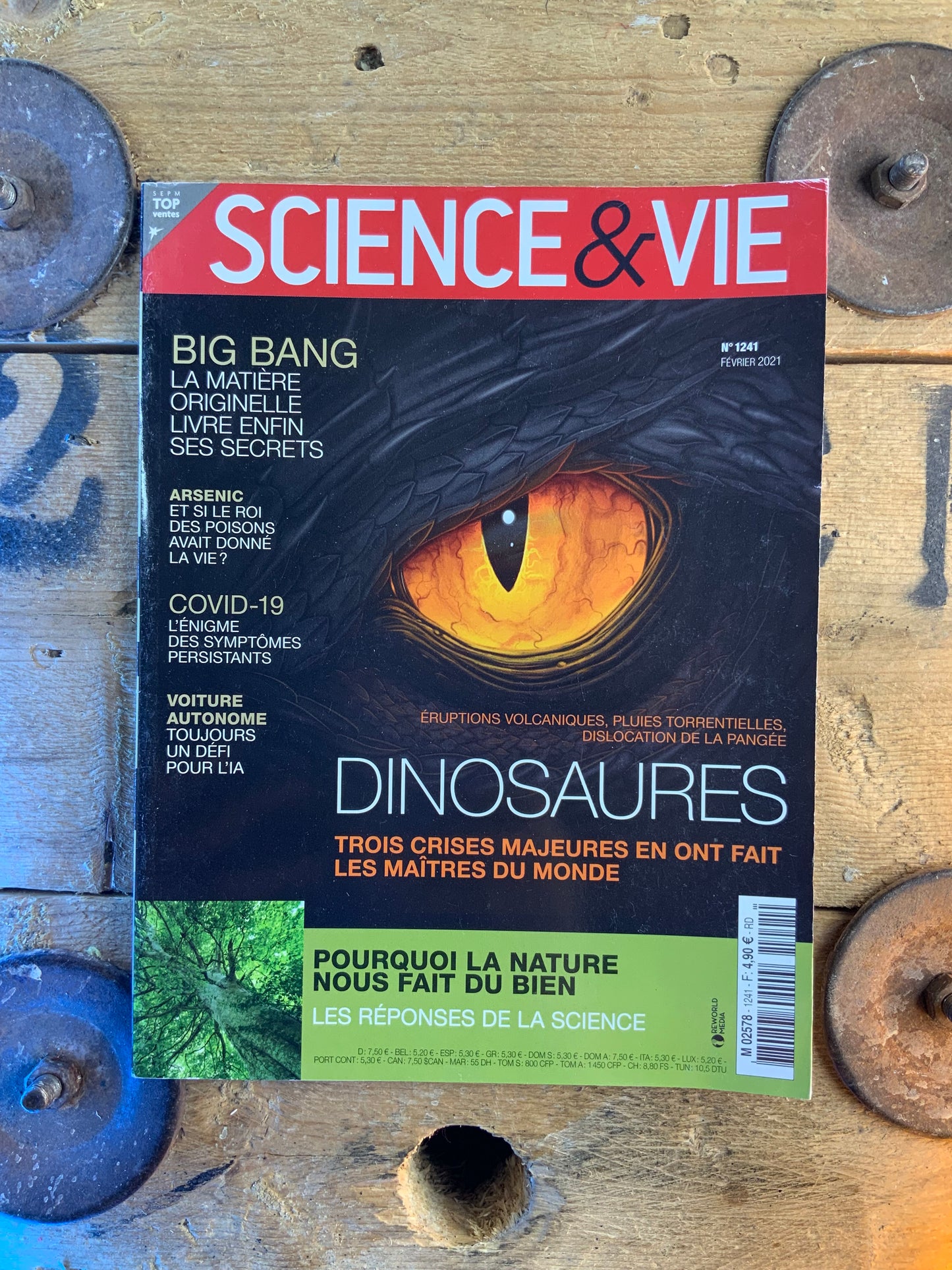 Dinosaures [ Science & Vie ]