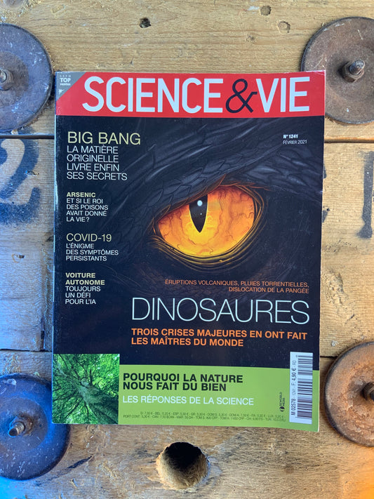 Dinosaures [ Science & Vie ]