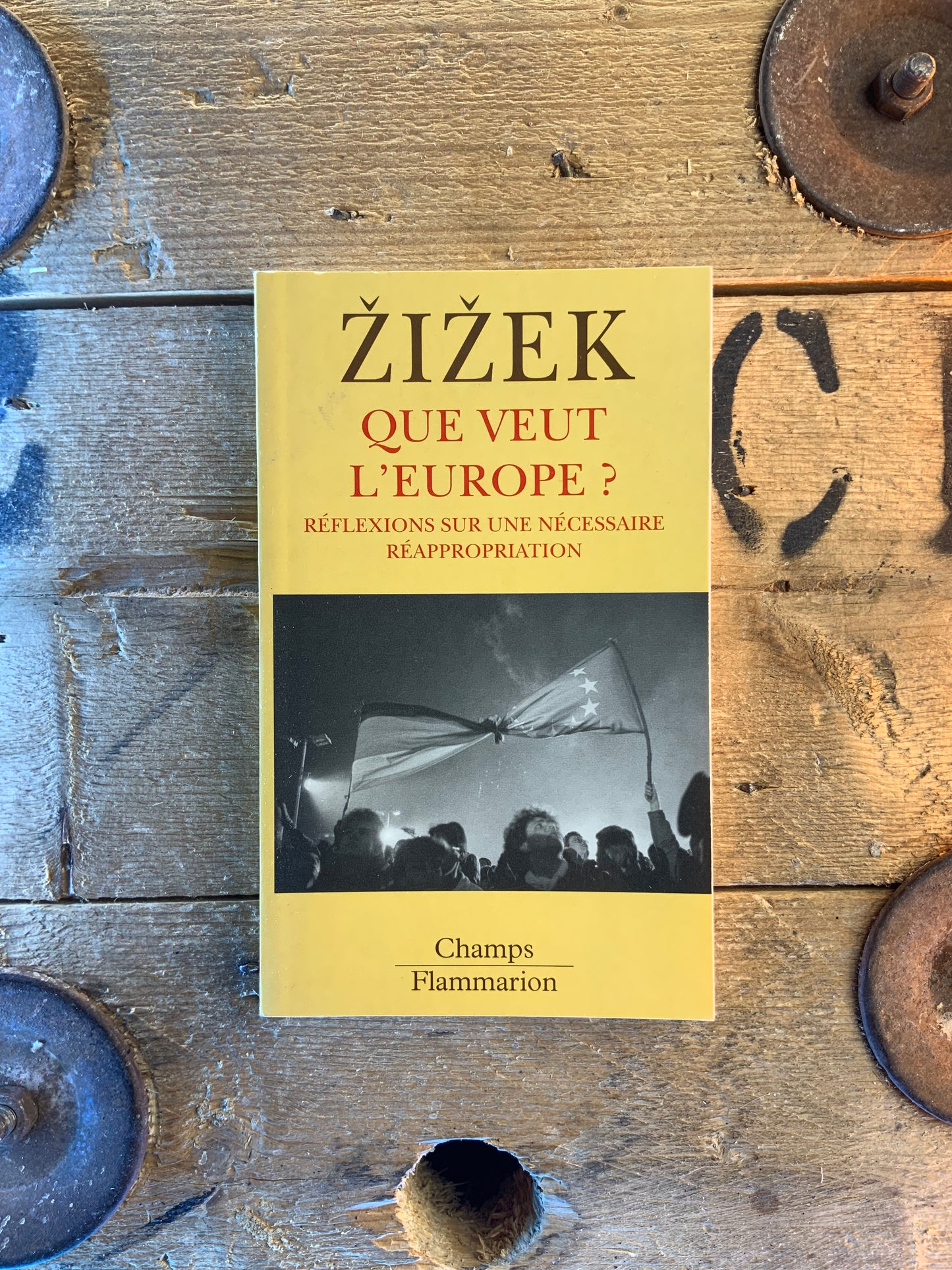 Que veut l’Europe ? Réflexion sur une nécessaire réappropriation - Slavoj Zizek