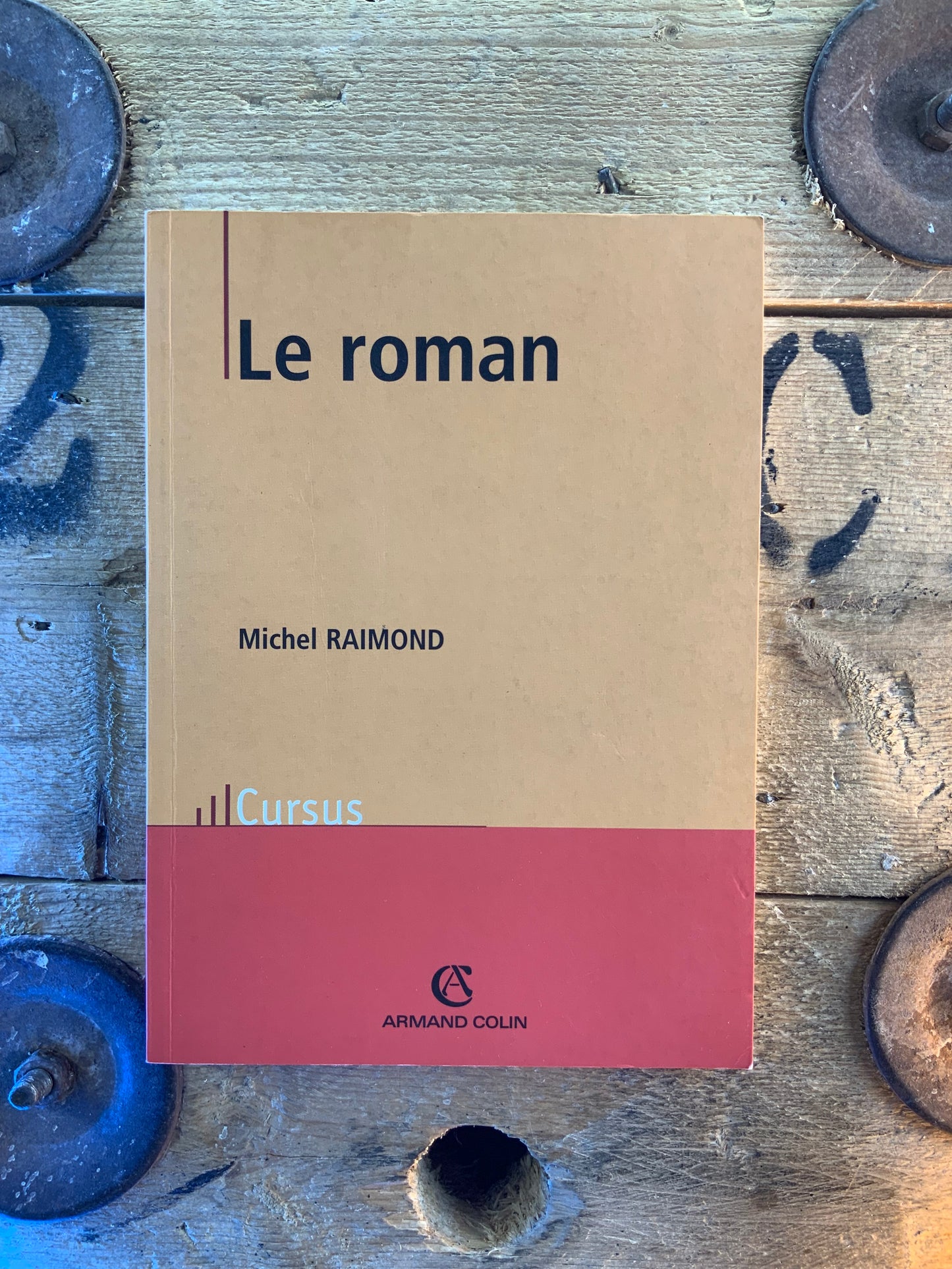 Le roman - Michel Raimond