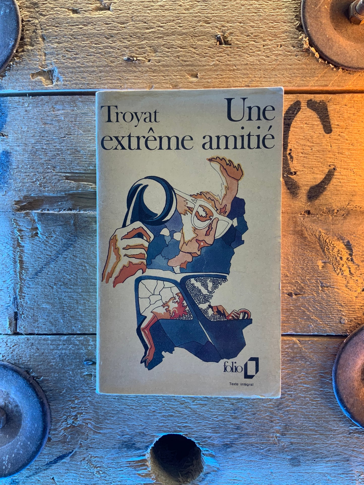 Une extrême amitié - Henri Troyat