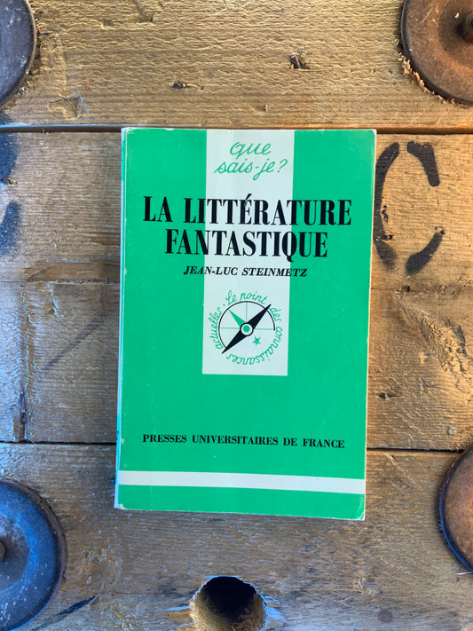 La littérature fantastique - Jean-Luc Steinmetz