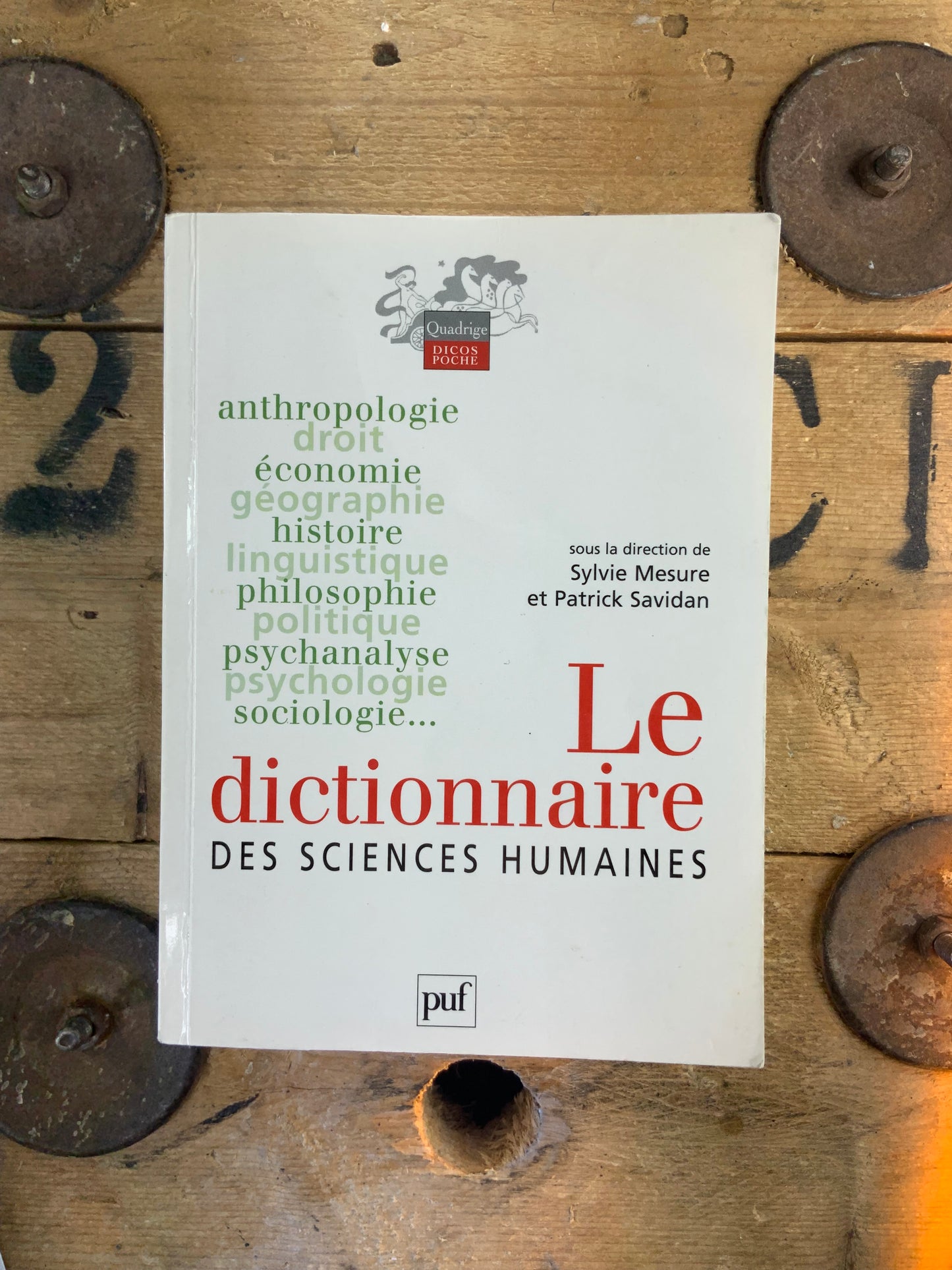 Le dictionnaire des sciences humaines - Sylvie Mesure et Patrick Savidan