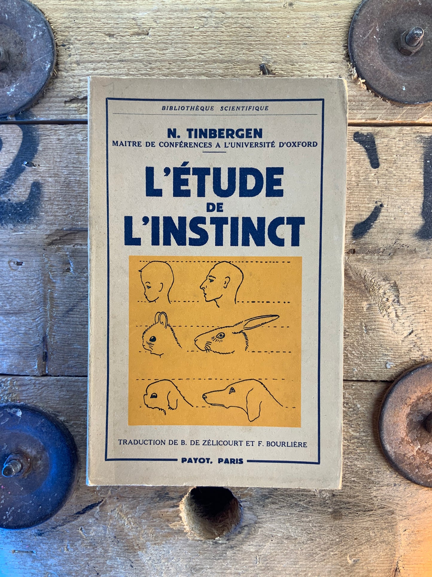 L’étude de l’instinct - N. Tinbergen