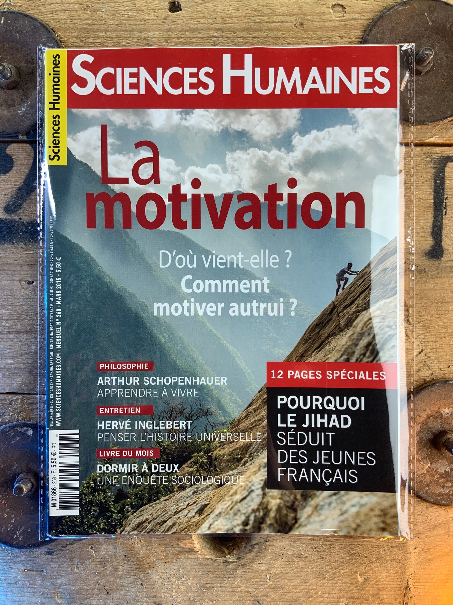 La motivation : D’où vient-elle ? Comment motiver autrui ? Le langage en 12 questions [ Magazine Sciences Humaines ]
