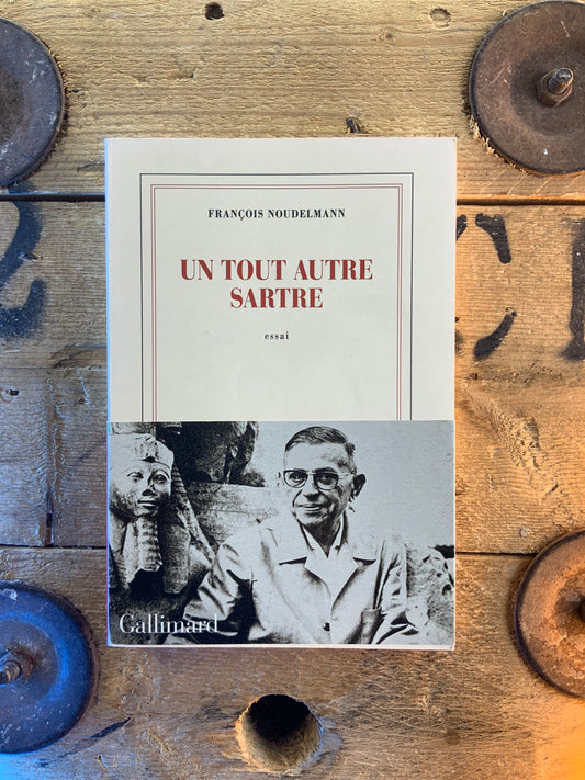 Un tout autre Sartre - François Noudelmann