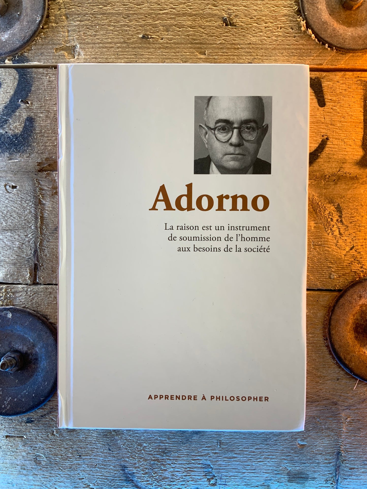 Adorno : La raison est un instrument de soumission de l’homme aux besoins de la société