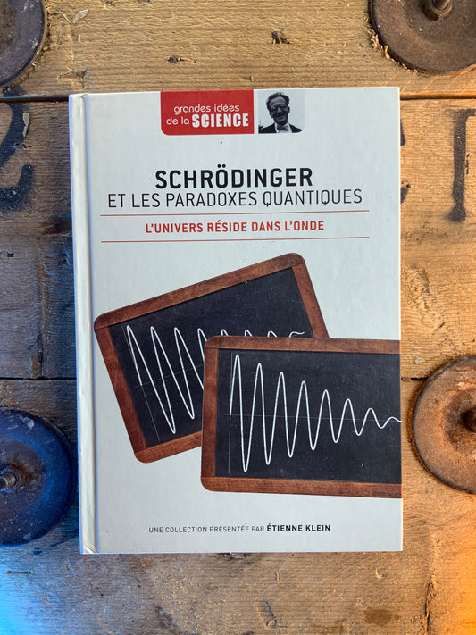 Schrödinger et les Paradoxes Quantiques : l’univers réside dans l’onde [ GRANDES IDÉES DE LA SCIENCE ]