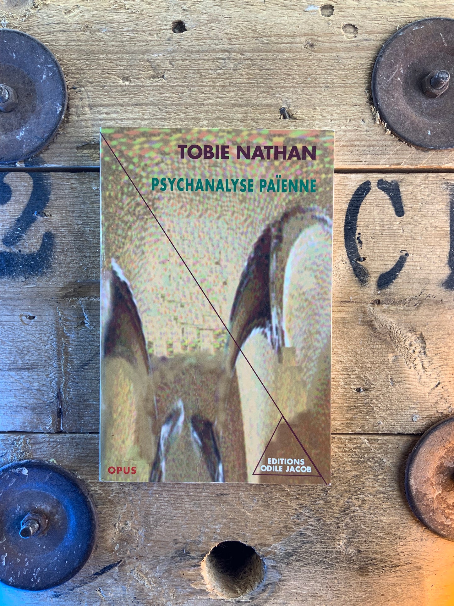 Psychanalyse païenne - Tobie Nathan