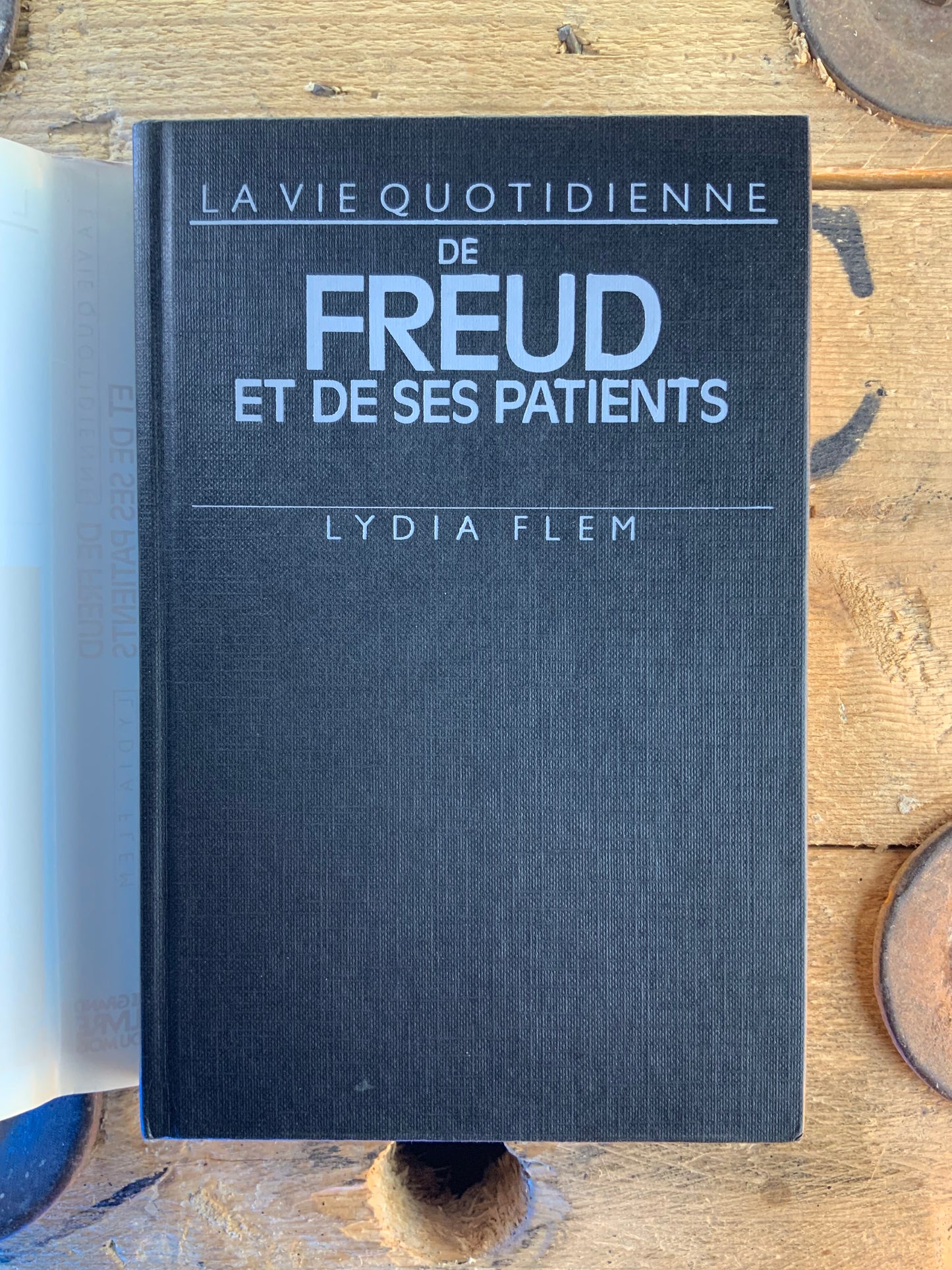 La vie quotidienne de Freud et de ses patients - Lydia Flem