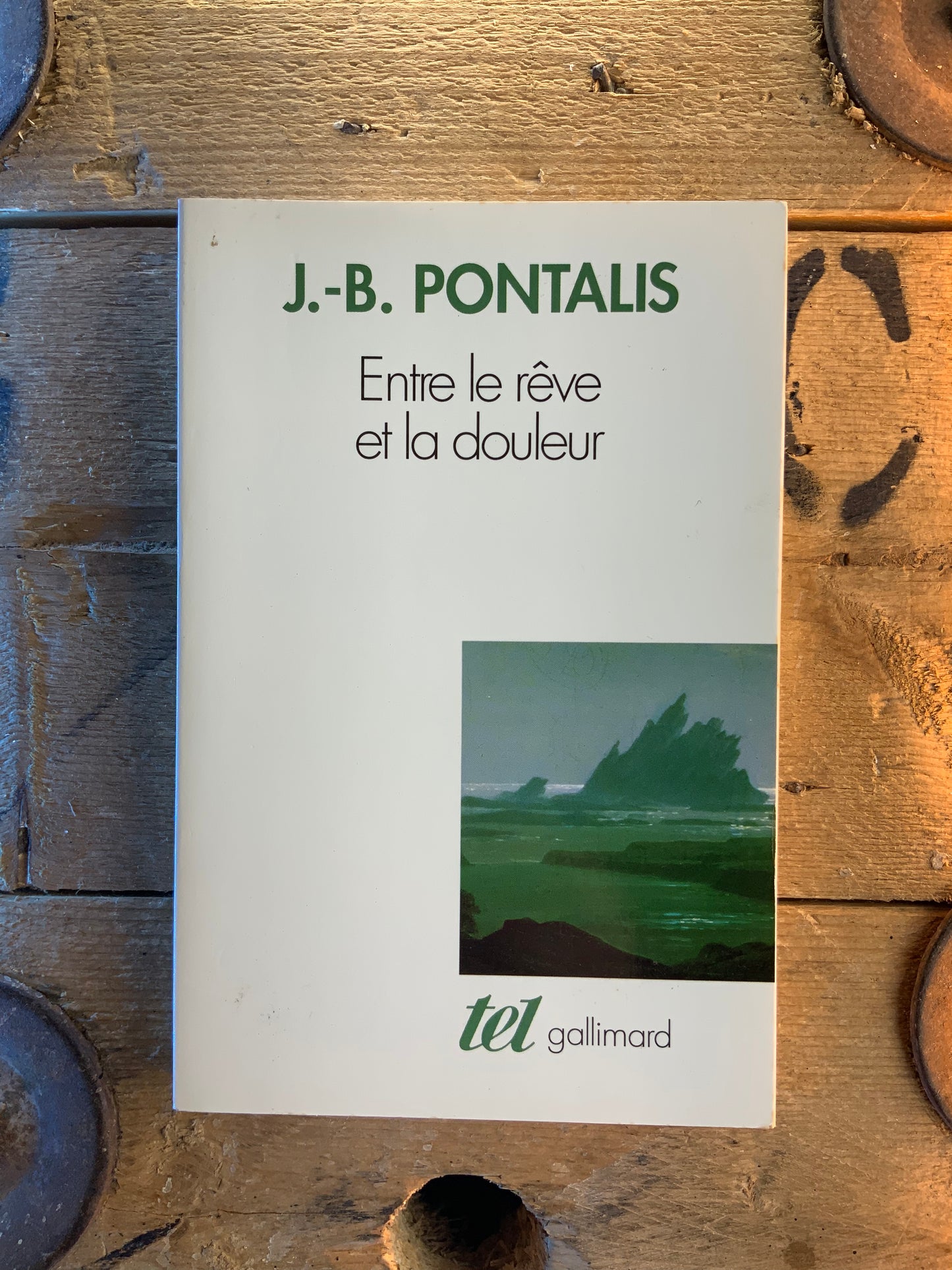 Entre le rêve et la douleur - J.-B. Pontalis