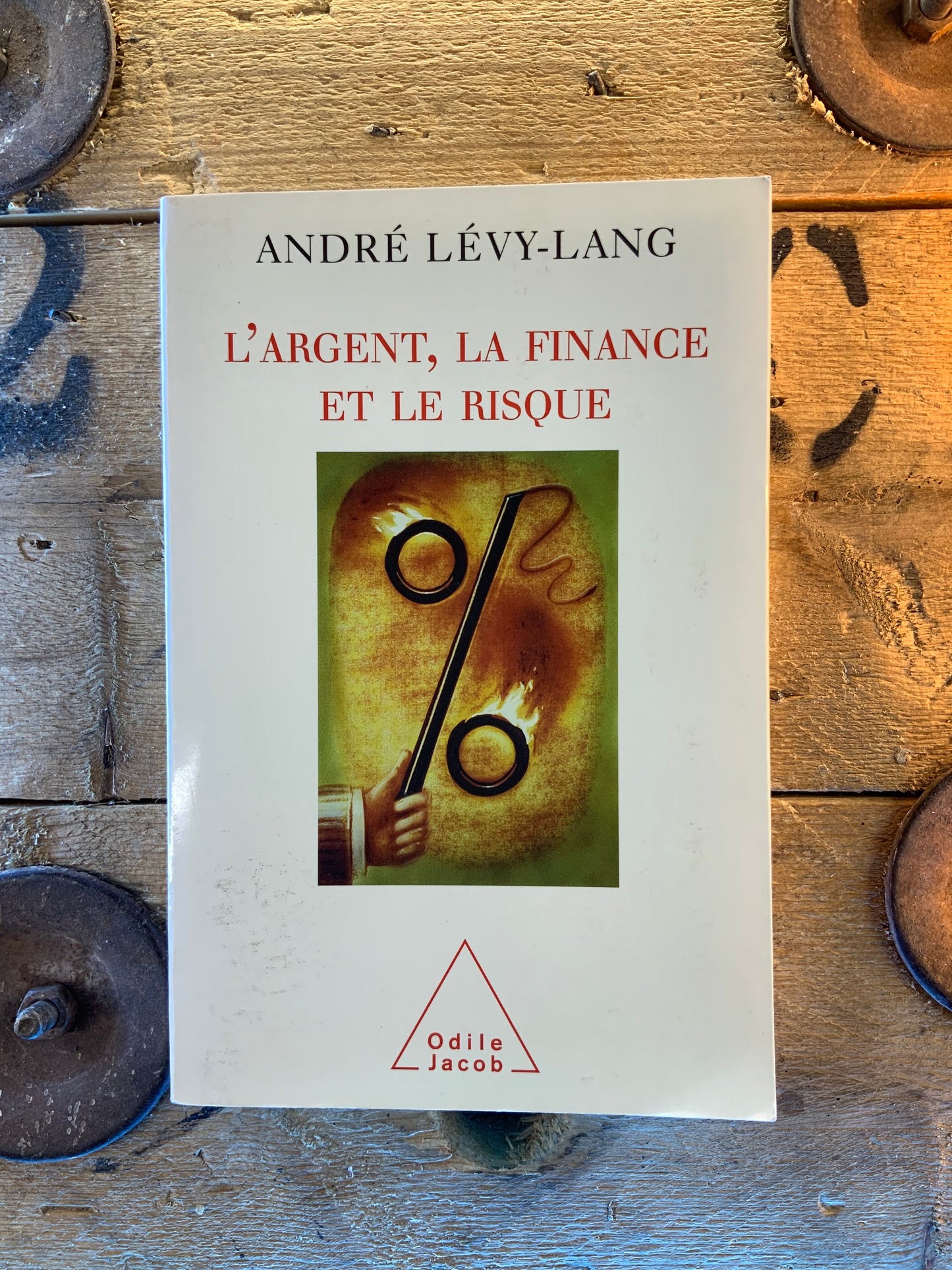 L’argent, la finance et le risque - André Lévy-Lang