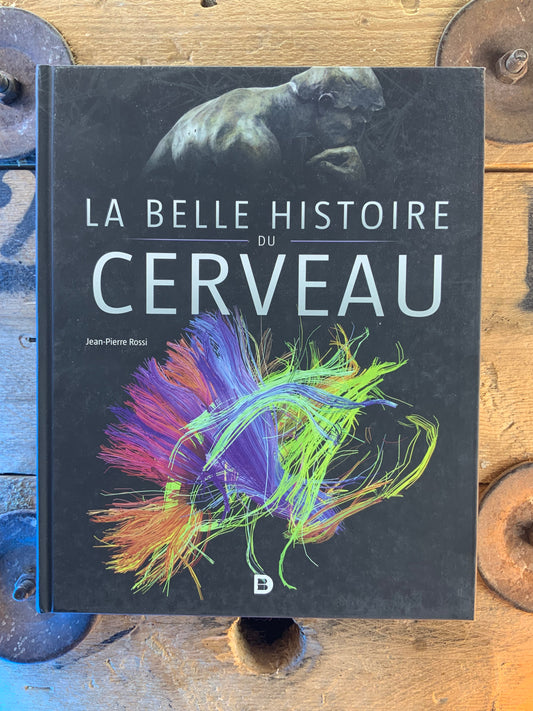 La belle histoire du cerveau - Jean-Pierre Rossi
