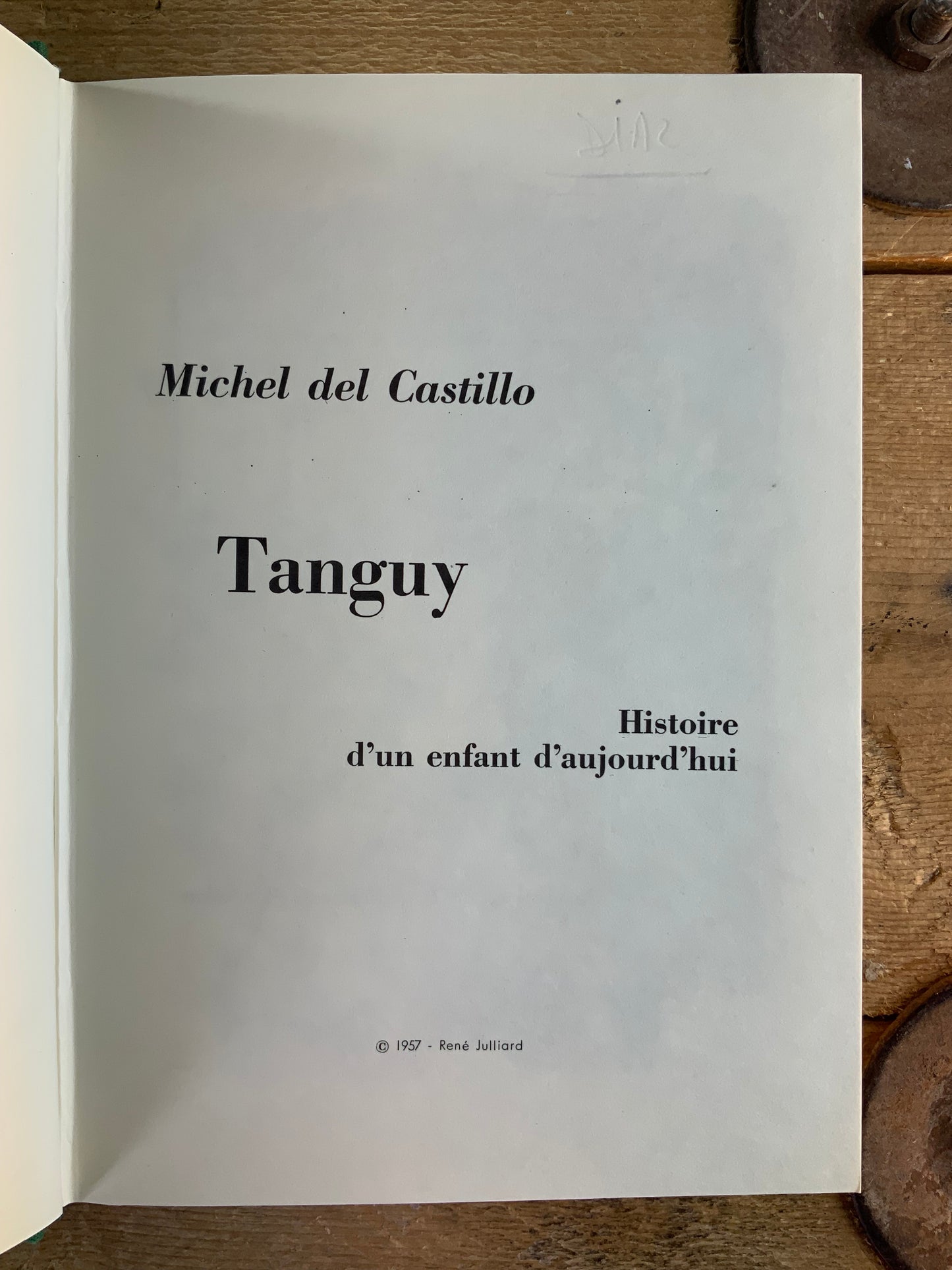 Tanguy - Michel del Castillo [ illustré ]