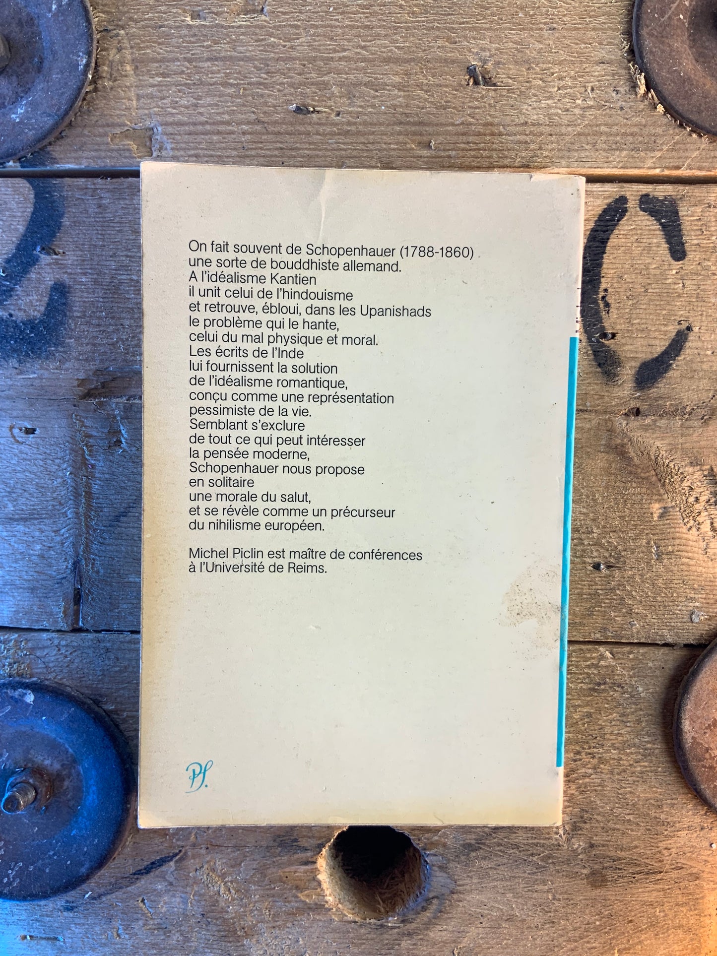 Schopenhauer - Michel Piclin