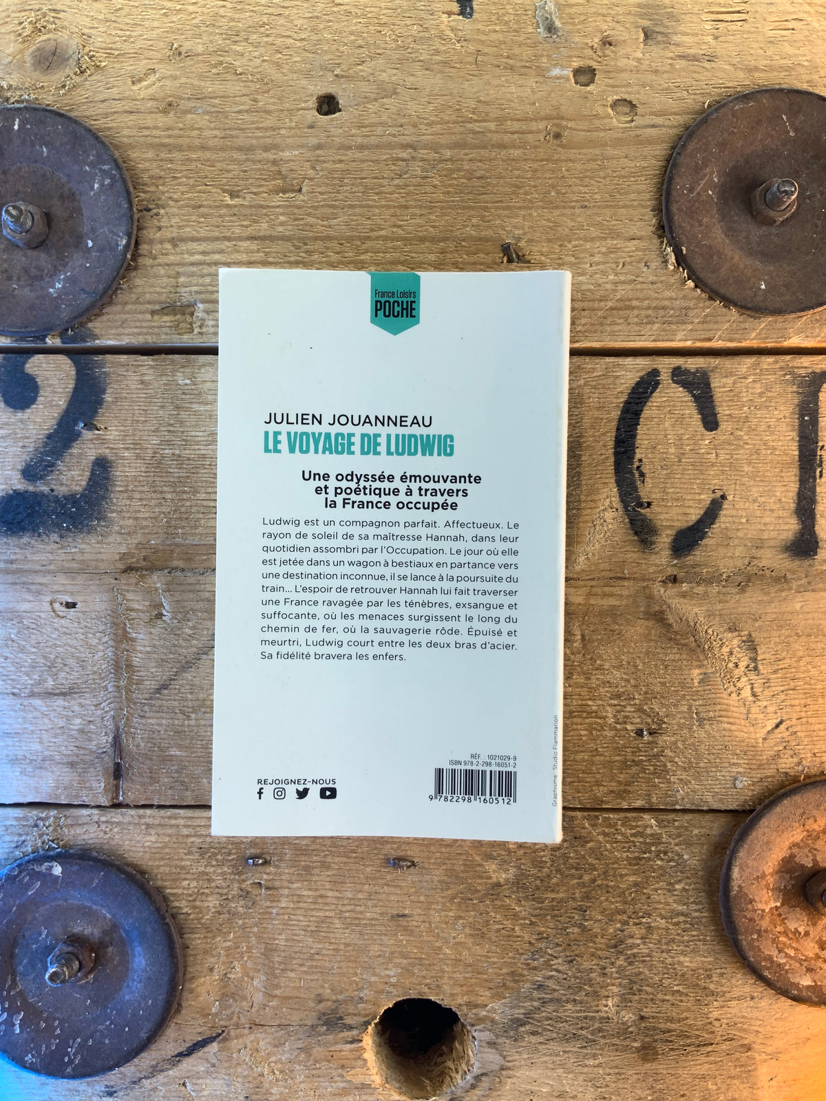 Le voyage de Ludwig - John Skovron