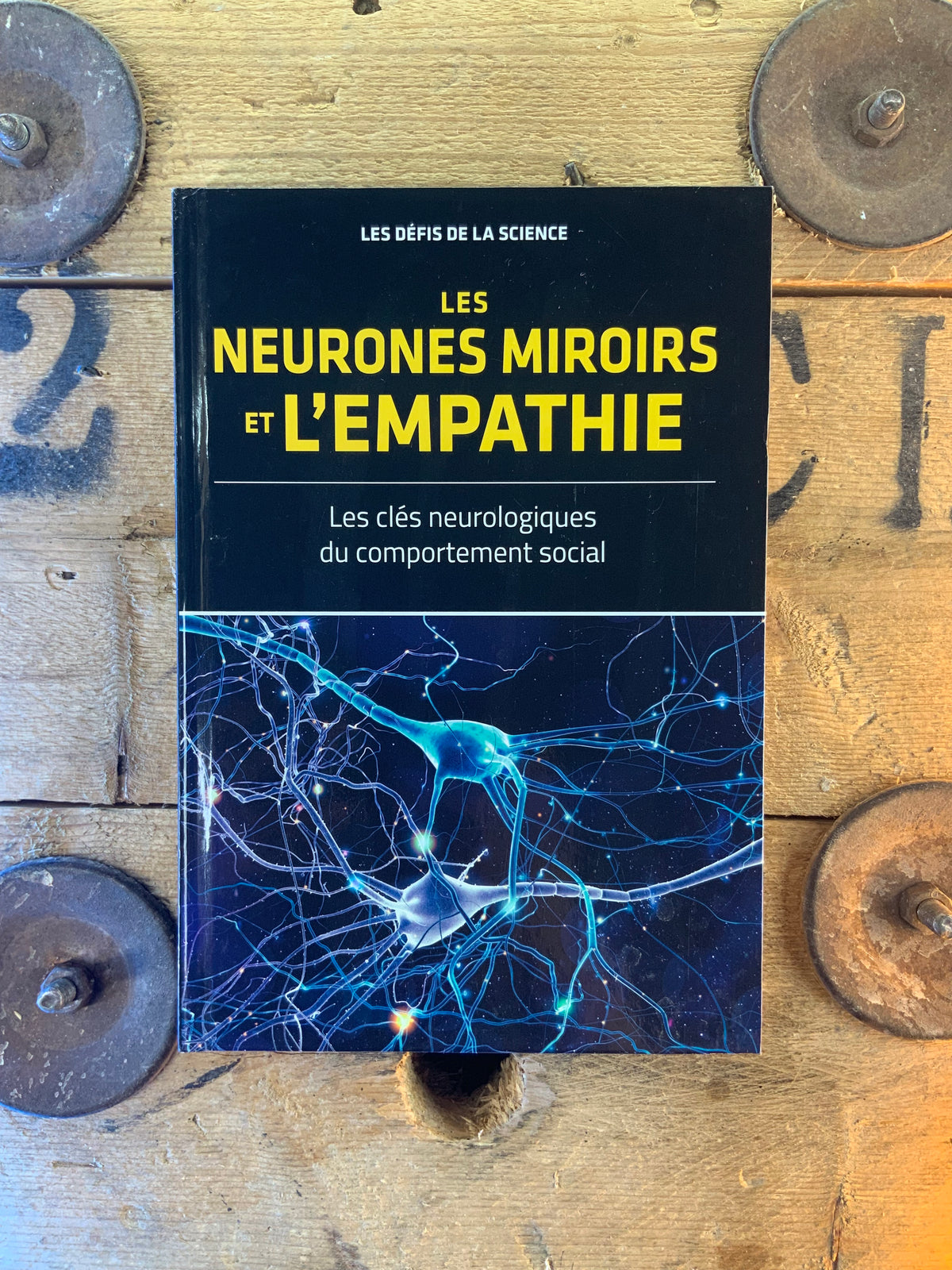 Les neurones miroirs et l’empathie : les clés neurologiques du comportement social [ Collection les défis de la science ]