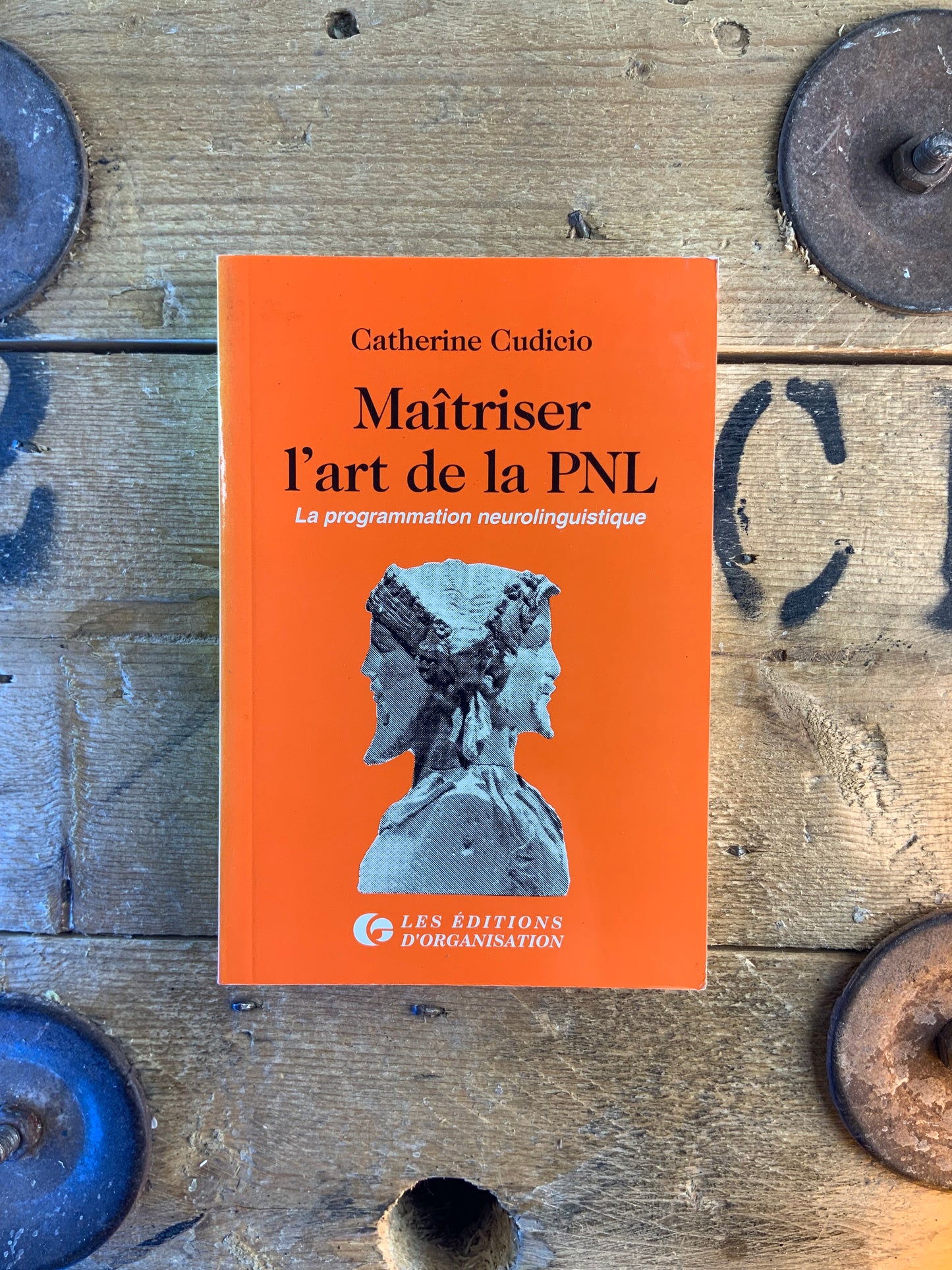 Maîtriser l’art de la PNL : la programmation neurolinguistique - Catherine Cudicio