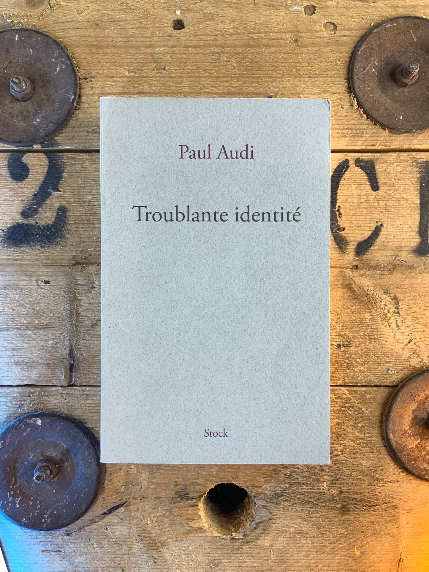 Troublante identité - Paul Audi