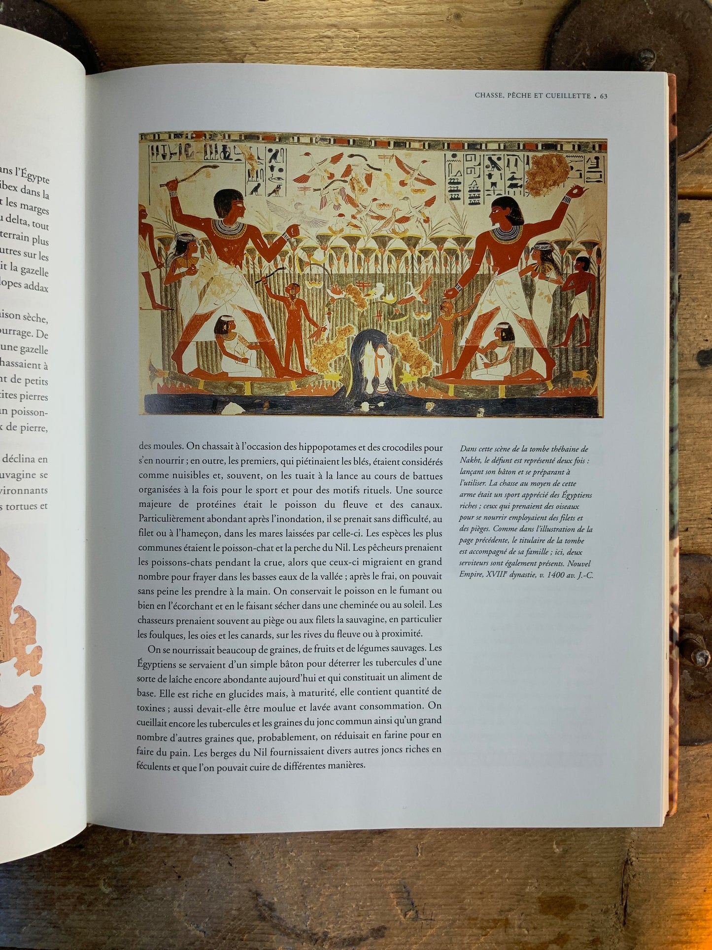 Au cœur de l’Égypte ancienne - David P. Silverman