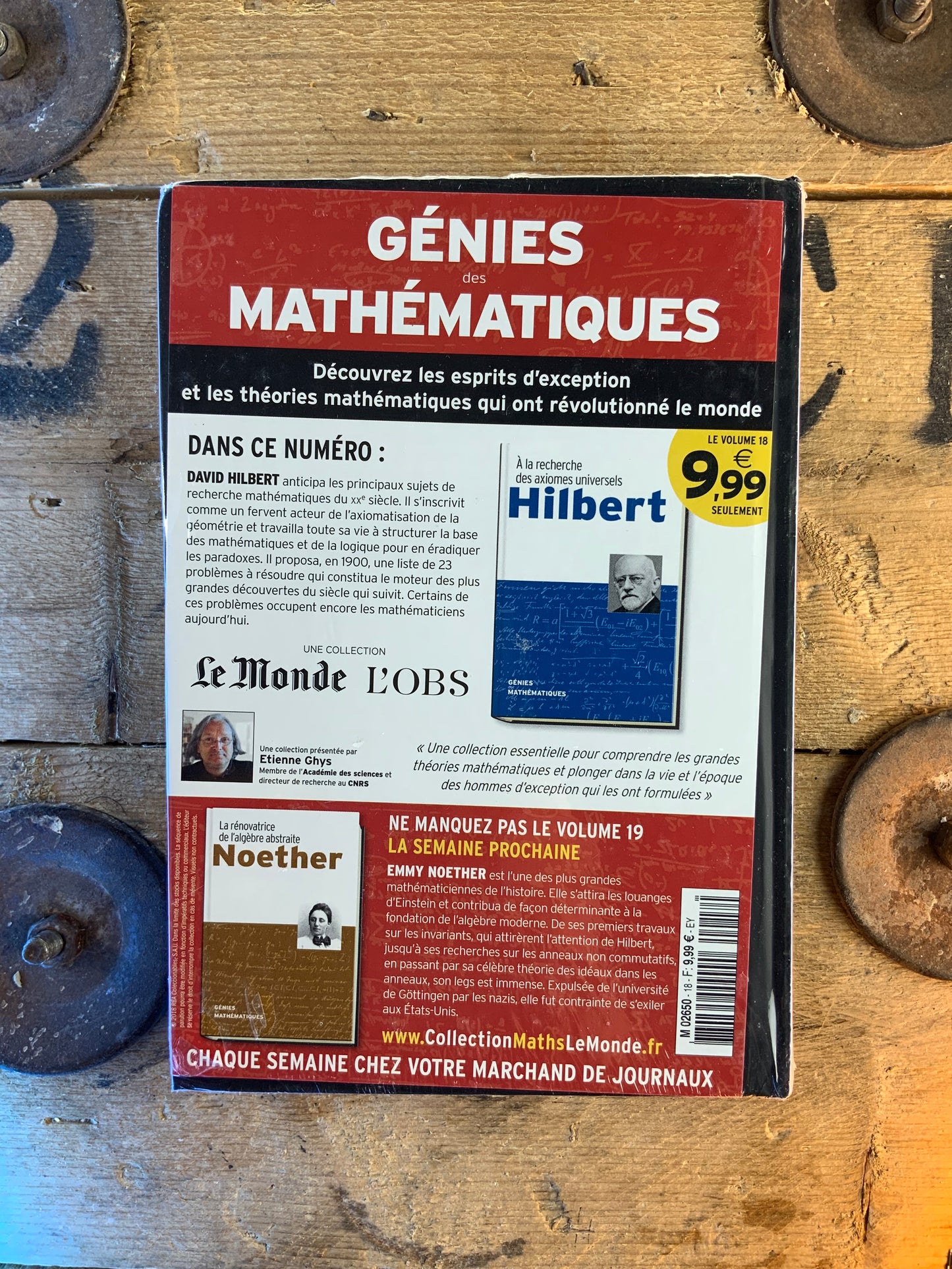 Hilbert : À la recherche des axiomes universels [ COLLECTION GÉNIES MATHÉMATIQUES ]
