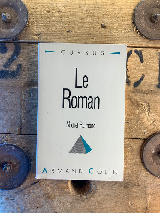 Le roman - Michel Raimond