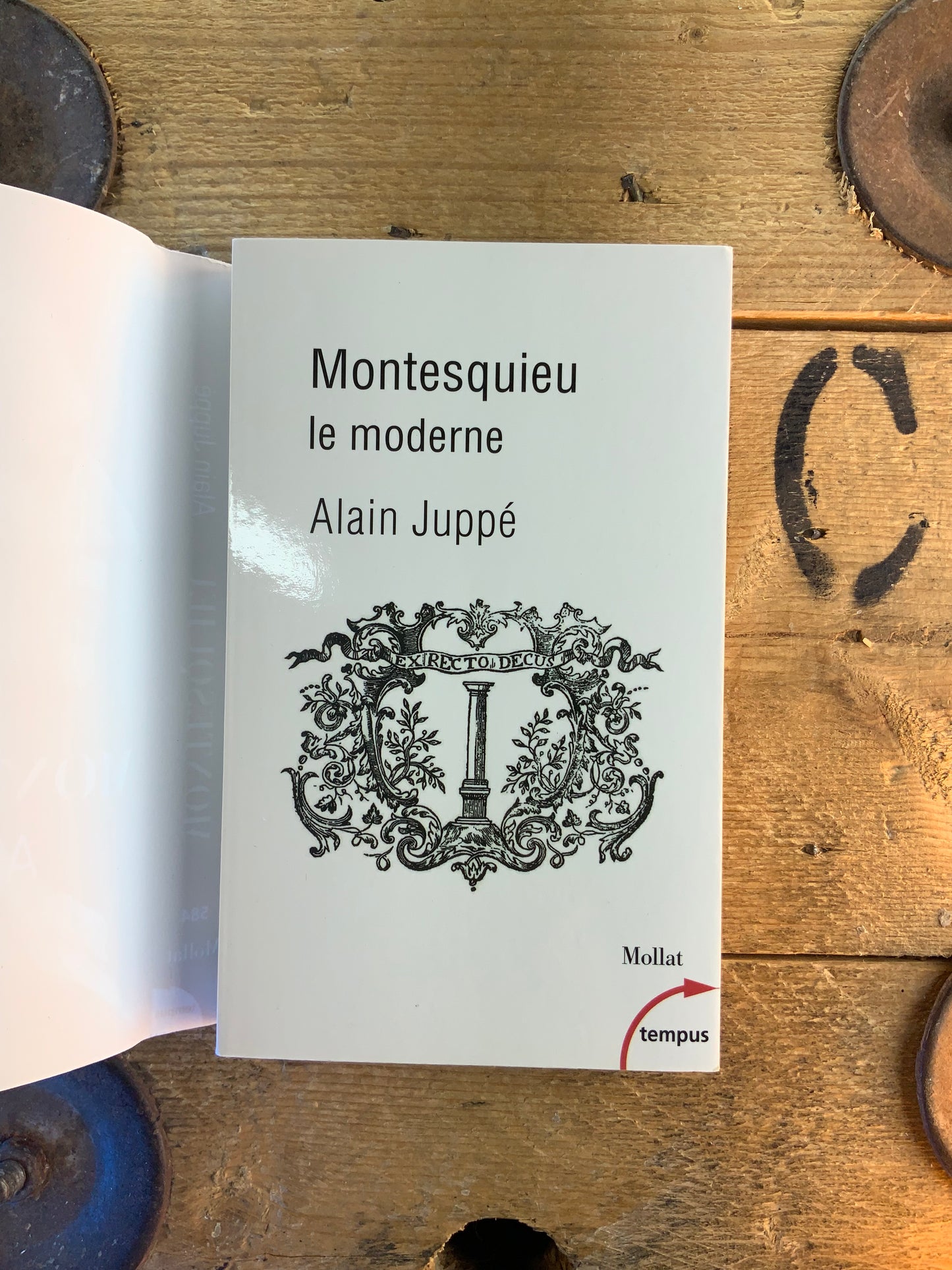 Montesquieu : le moderne - Alain Juppé