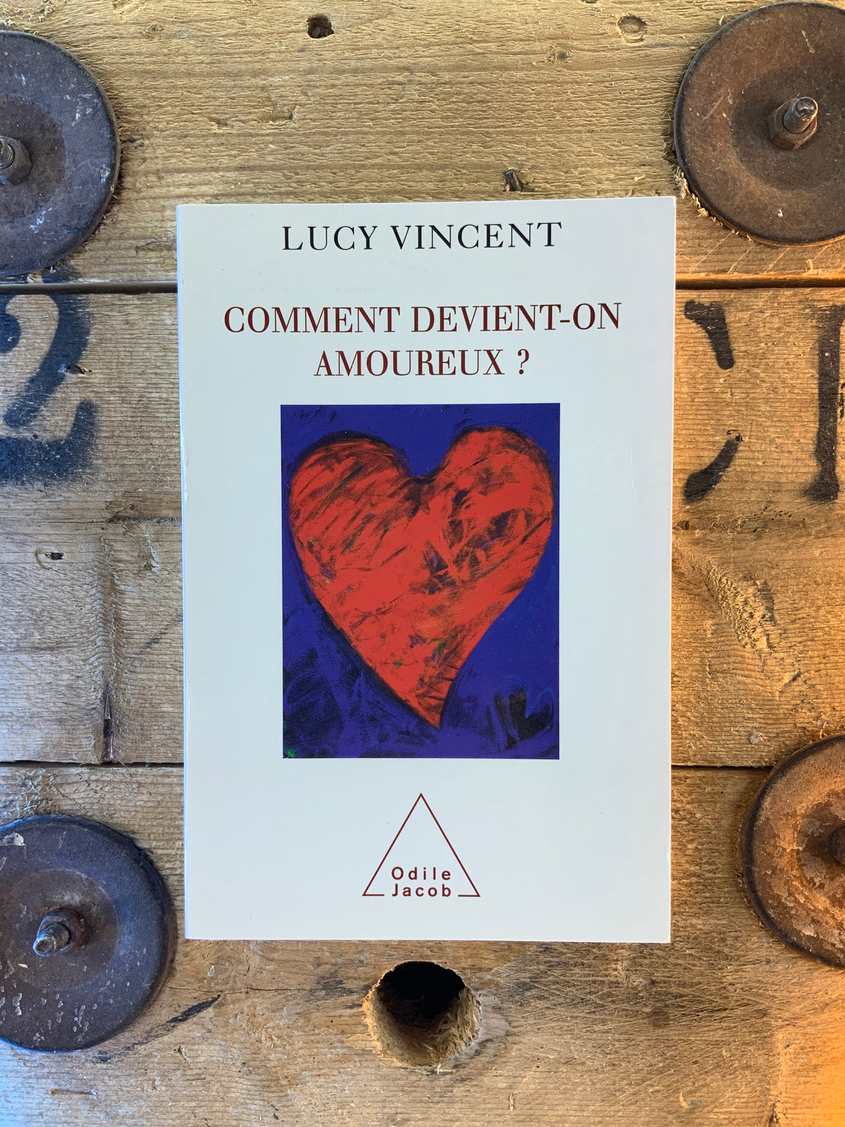 Comment devient-on amoureux ? - Lucy Vincent