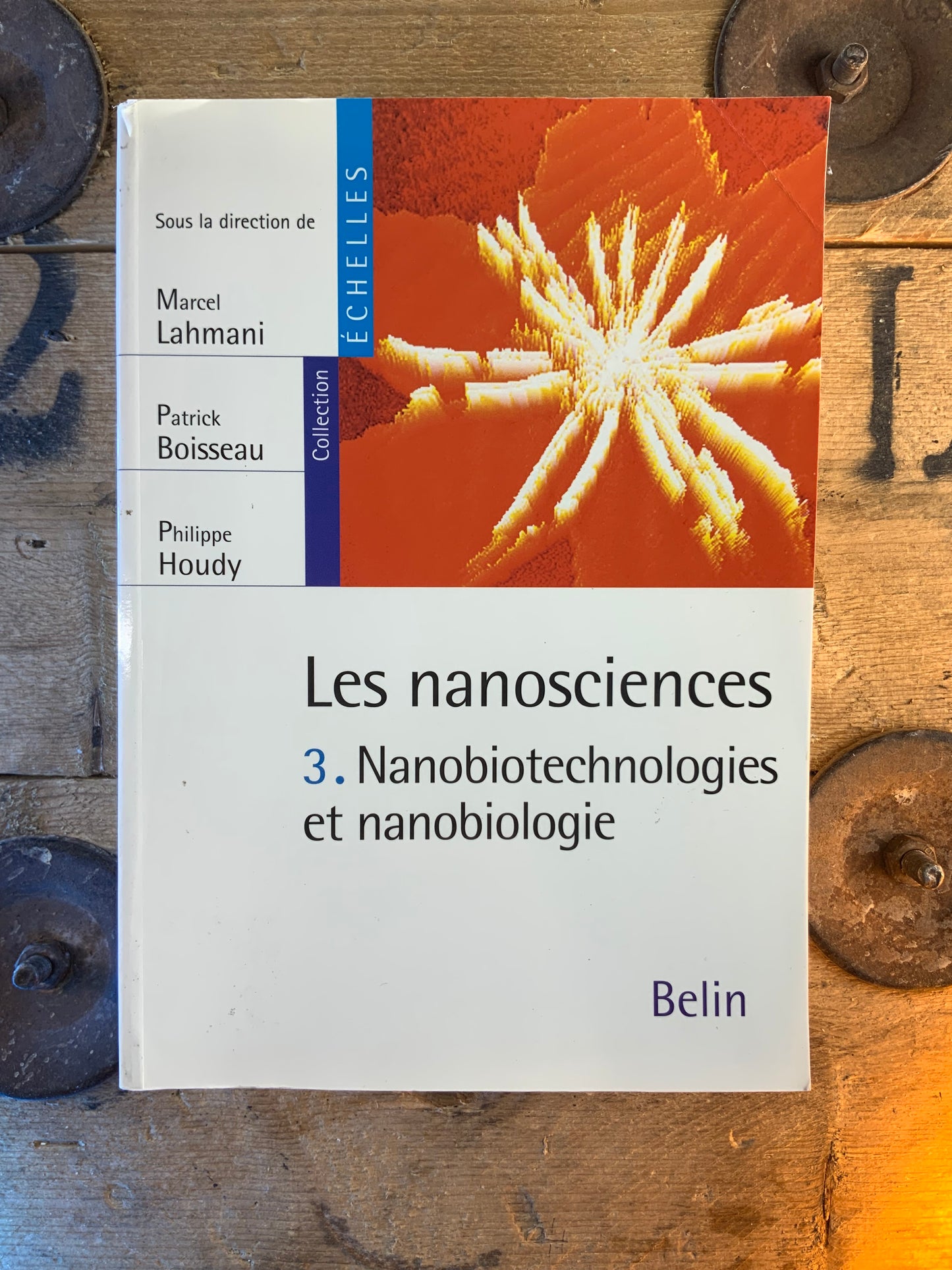 Les nanosciences : Nanobioyechnologies et nanobiologie - Marcel Lahmani, Patrick Boisseau et Philippe Houdy