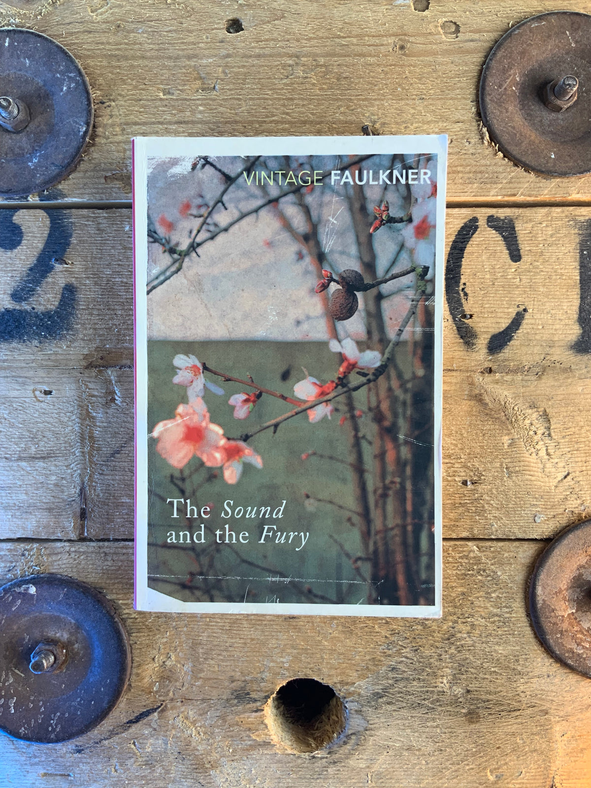 The Sound and the Fury - Faulkner