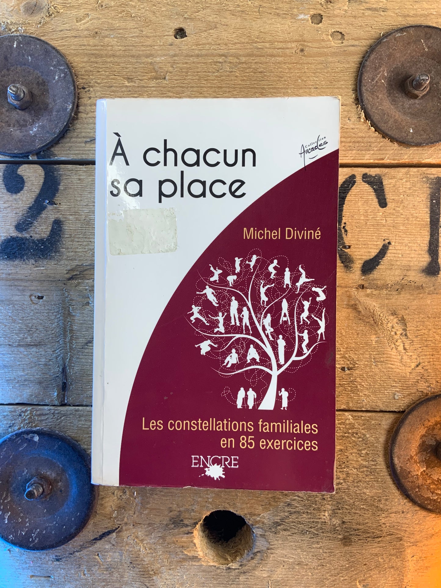 À chacun sa place : les constellations familiales en 25 exercices - Michel Diviné