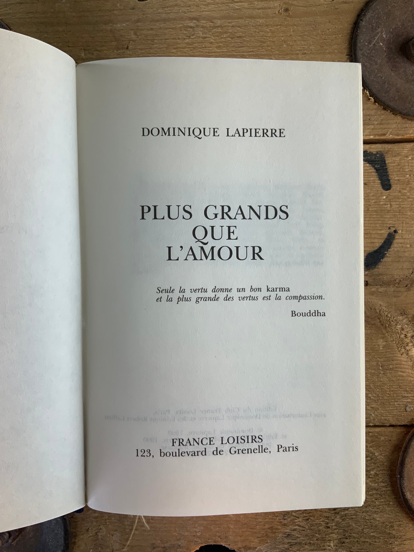 Plus grands que l’amour - Dominique Lapierre