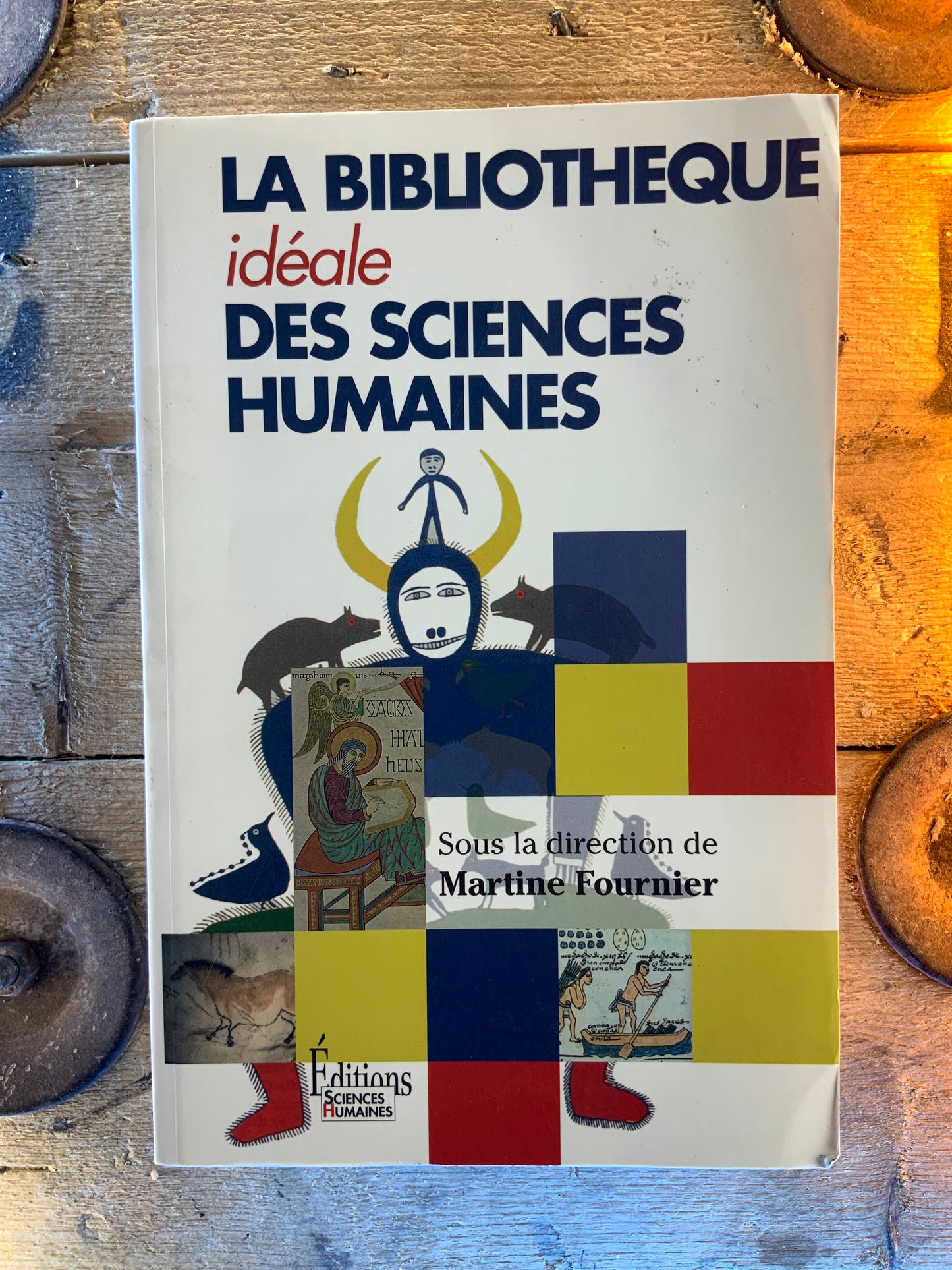 La bibliothèque idéale des sciences humaines - Martine Fournier