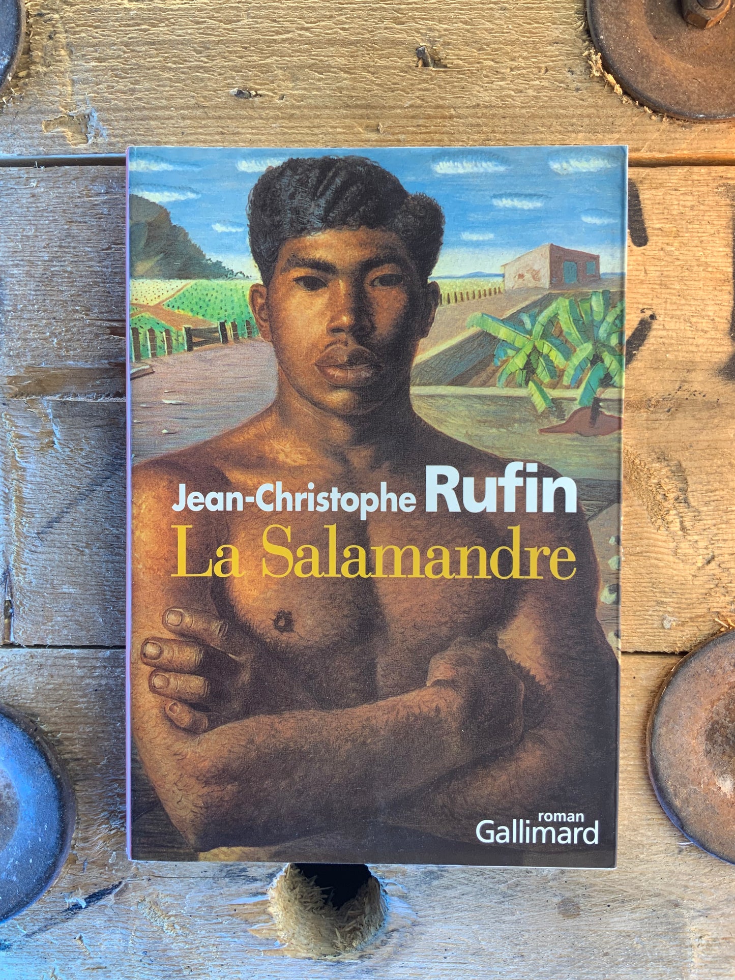 La Salammandre - Jean-Christophe Rufin