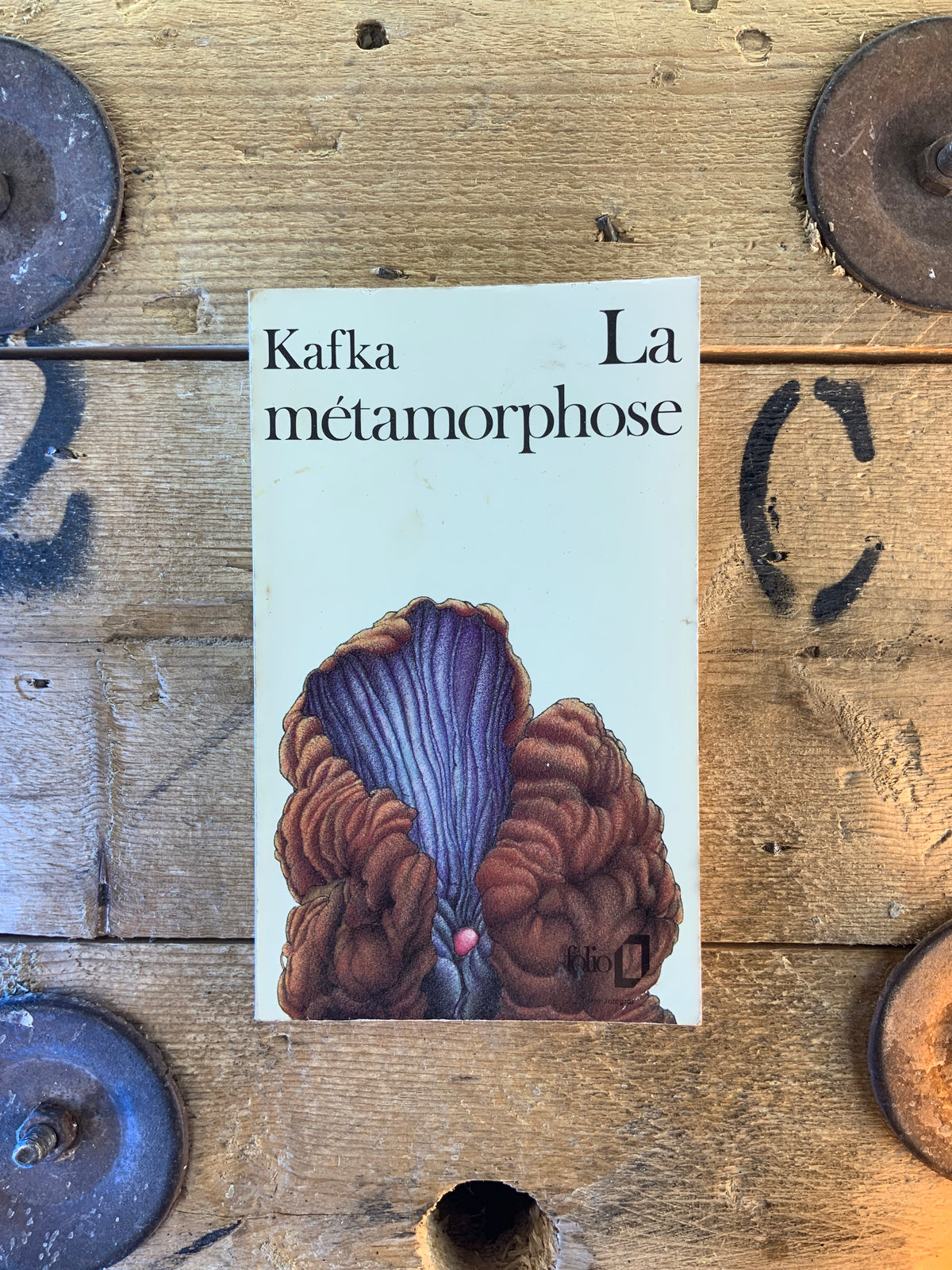 La métamorphose - Franz Kafka