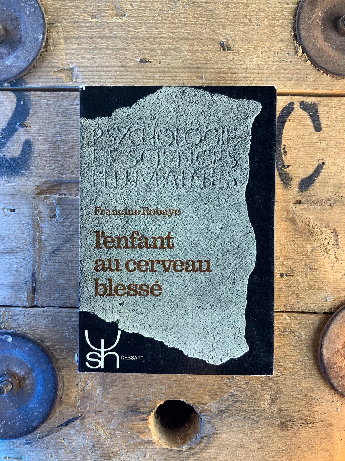 L’enfant au cerveau blessé - Francine Robaye