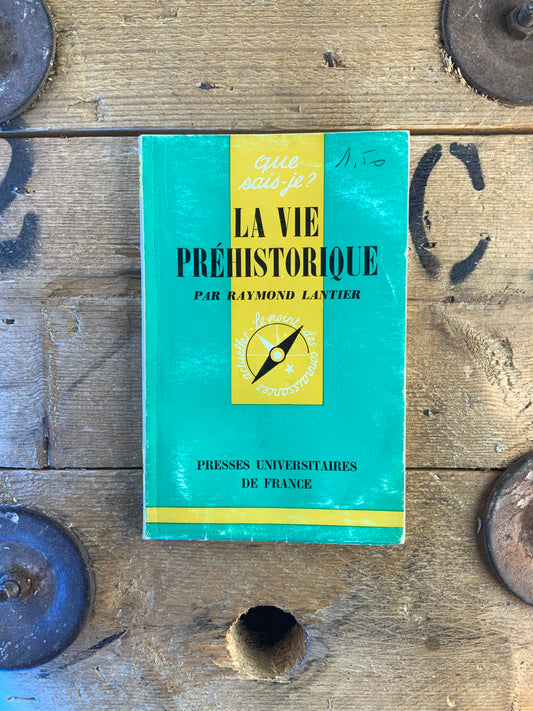 La vie préhistorique - Raymond Lantier
