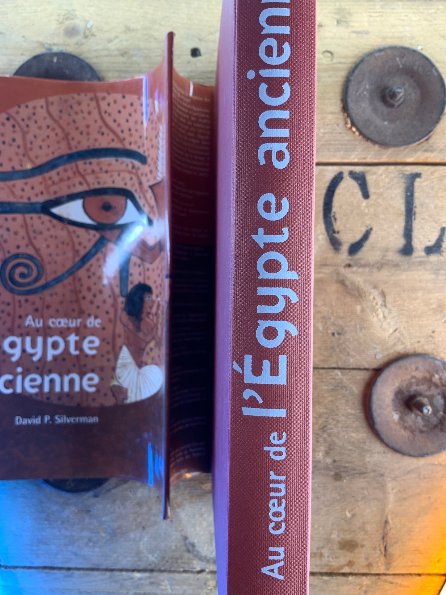 Au cœur de l’Égypte ancienne - David P. Silverman