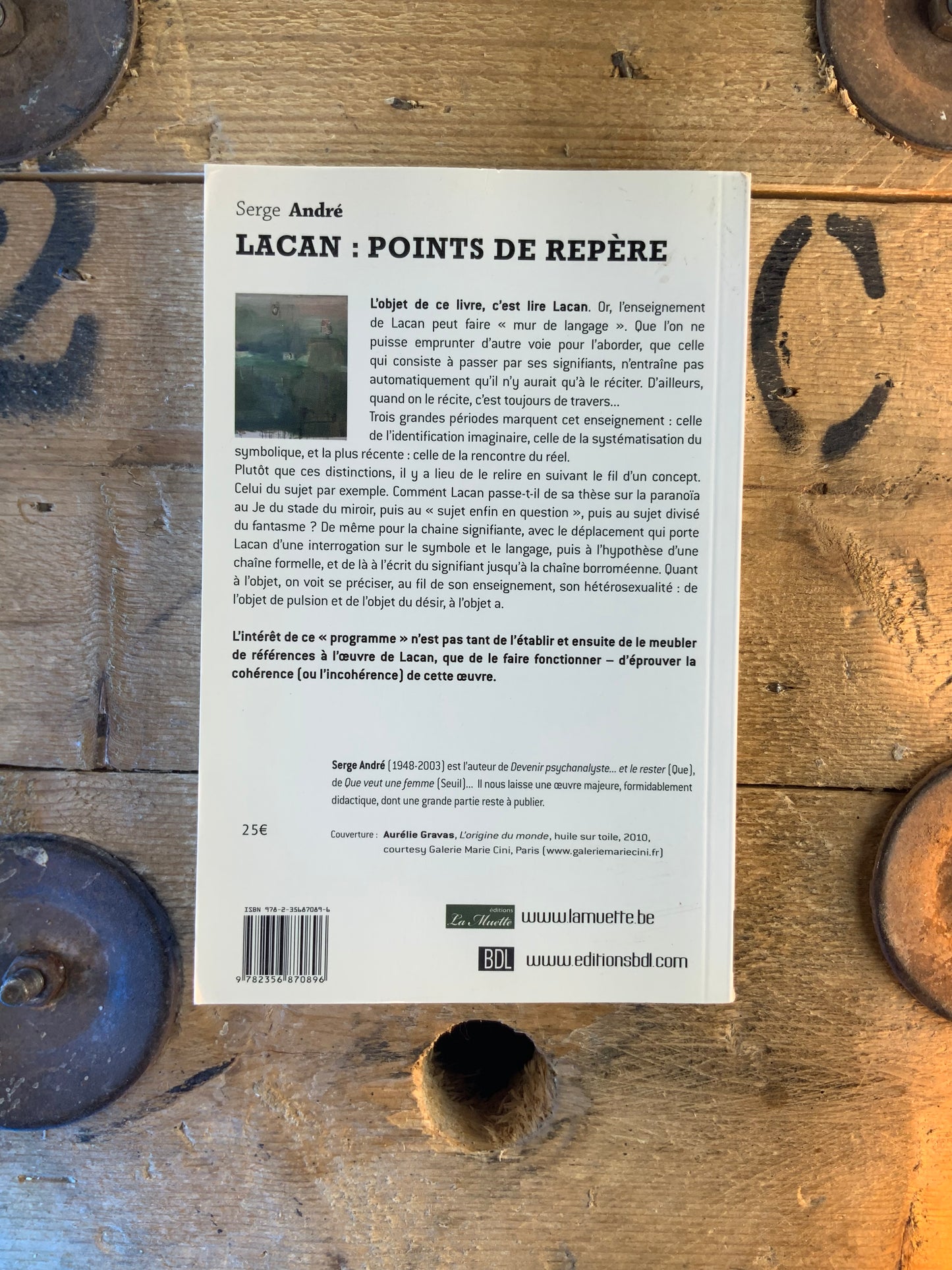 Lacan : points de repère - Serge André