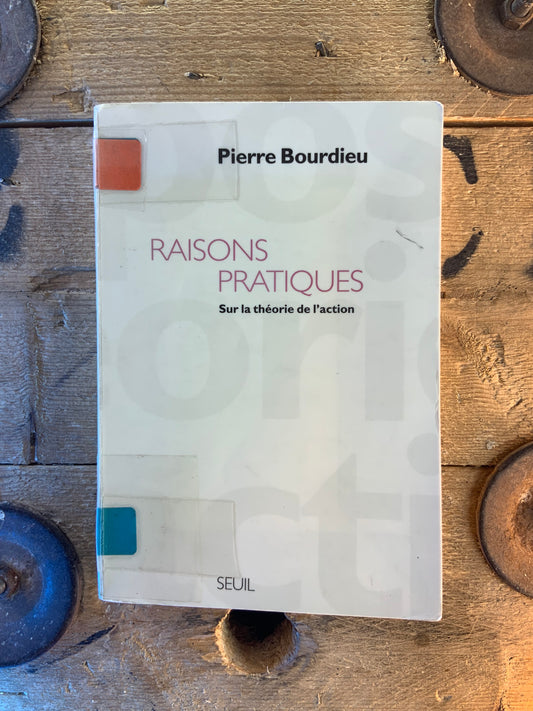 Raisons pratiques : sur la théorie de l’action - Pierre Bourdieu
