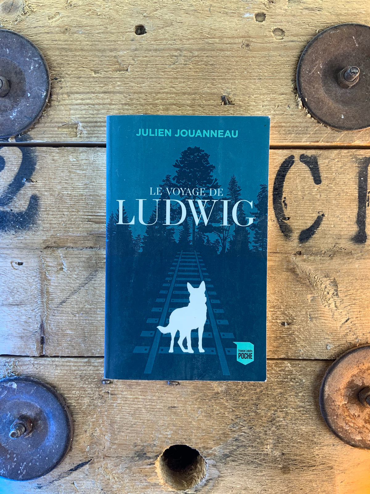 Le voyage de Ludwig - John Skovron
