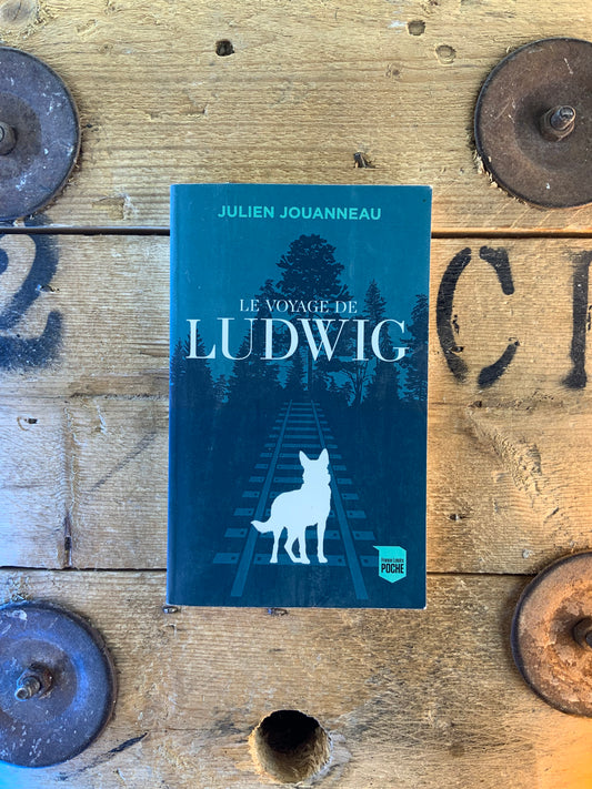 Le voyage de Ludwig - John Skovron