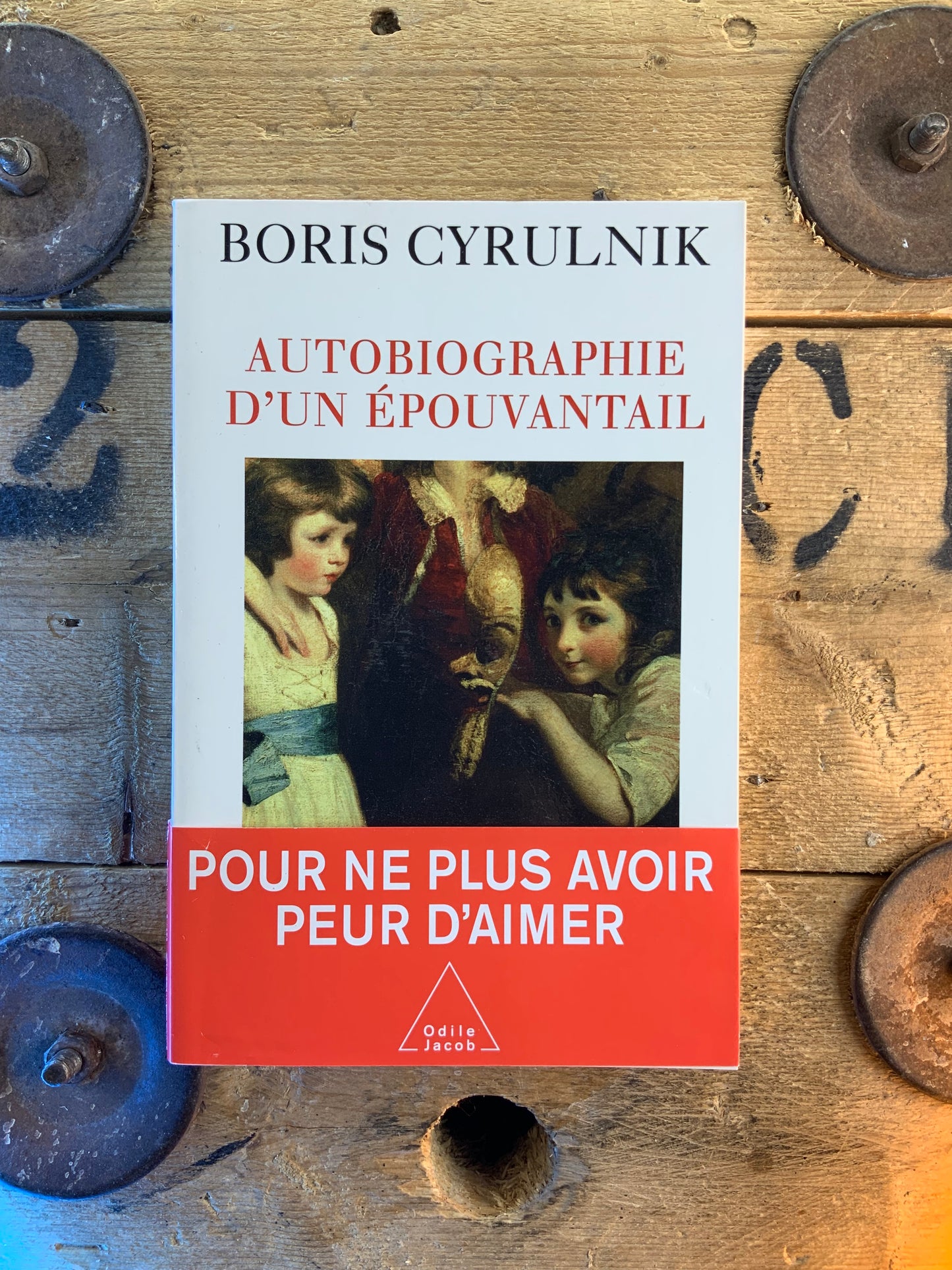 Autobiographie d’un épouvantail - Boris Curulnik