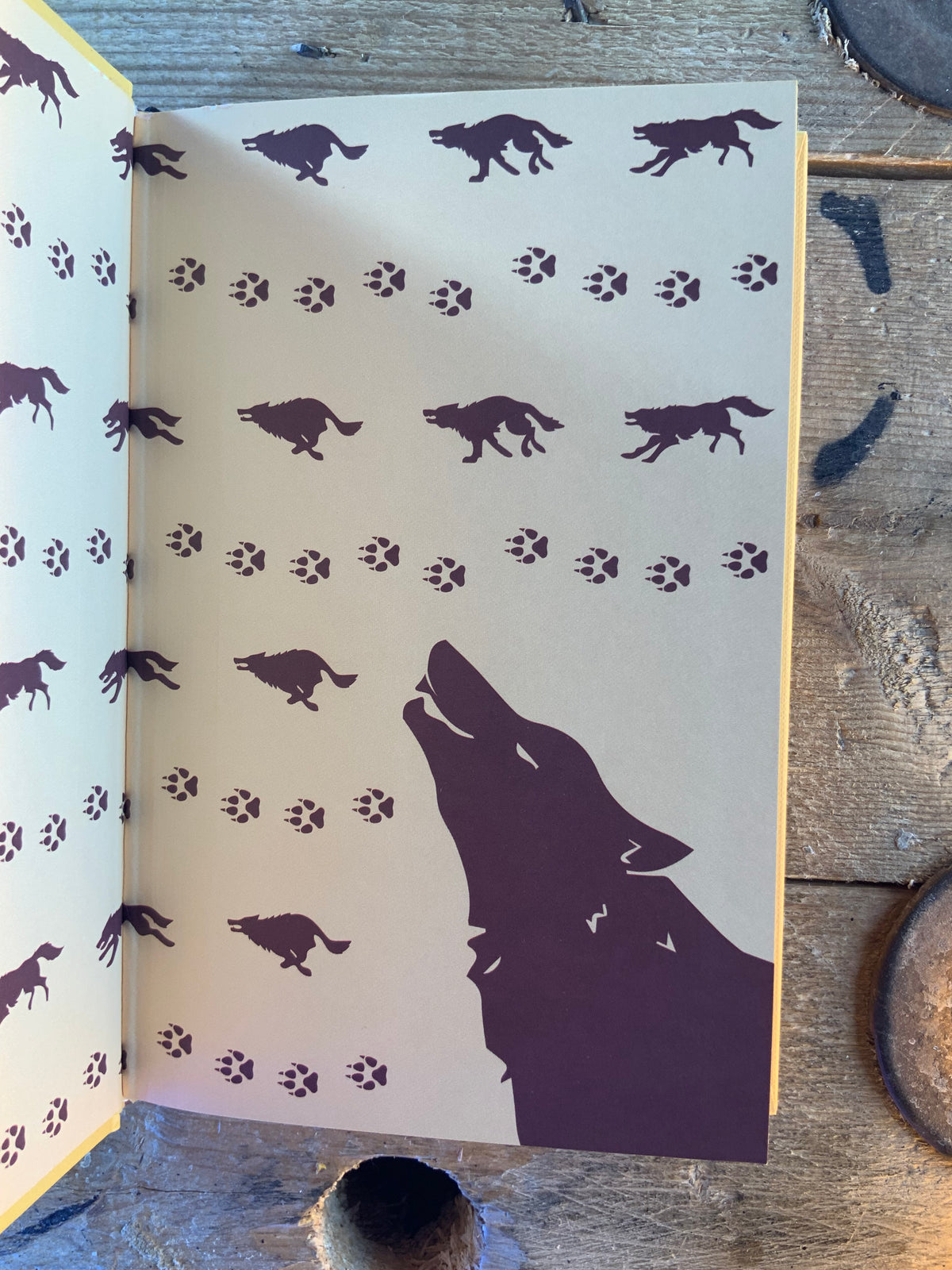 The Hound of the Baskervilles - Arthur Conan Doyle [neuf]